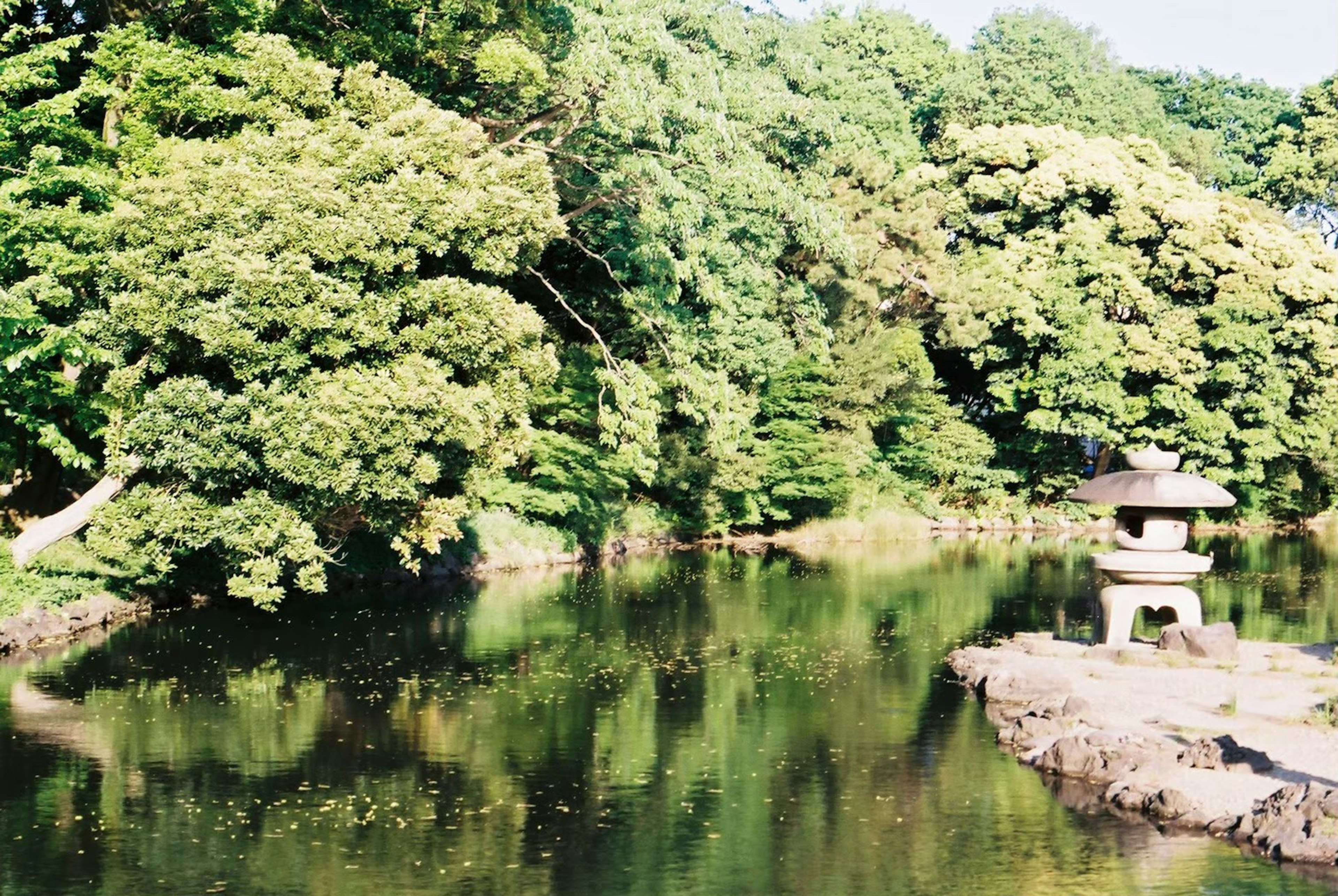 静かな池と緑豊かな木々の風景 石灯籠が水辺に立つ