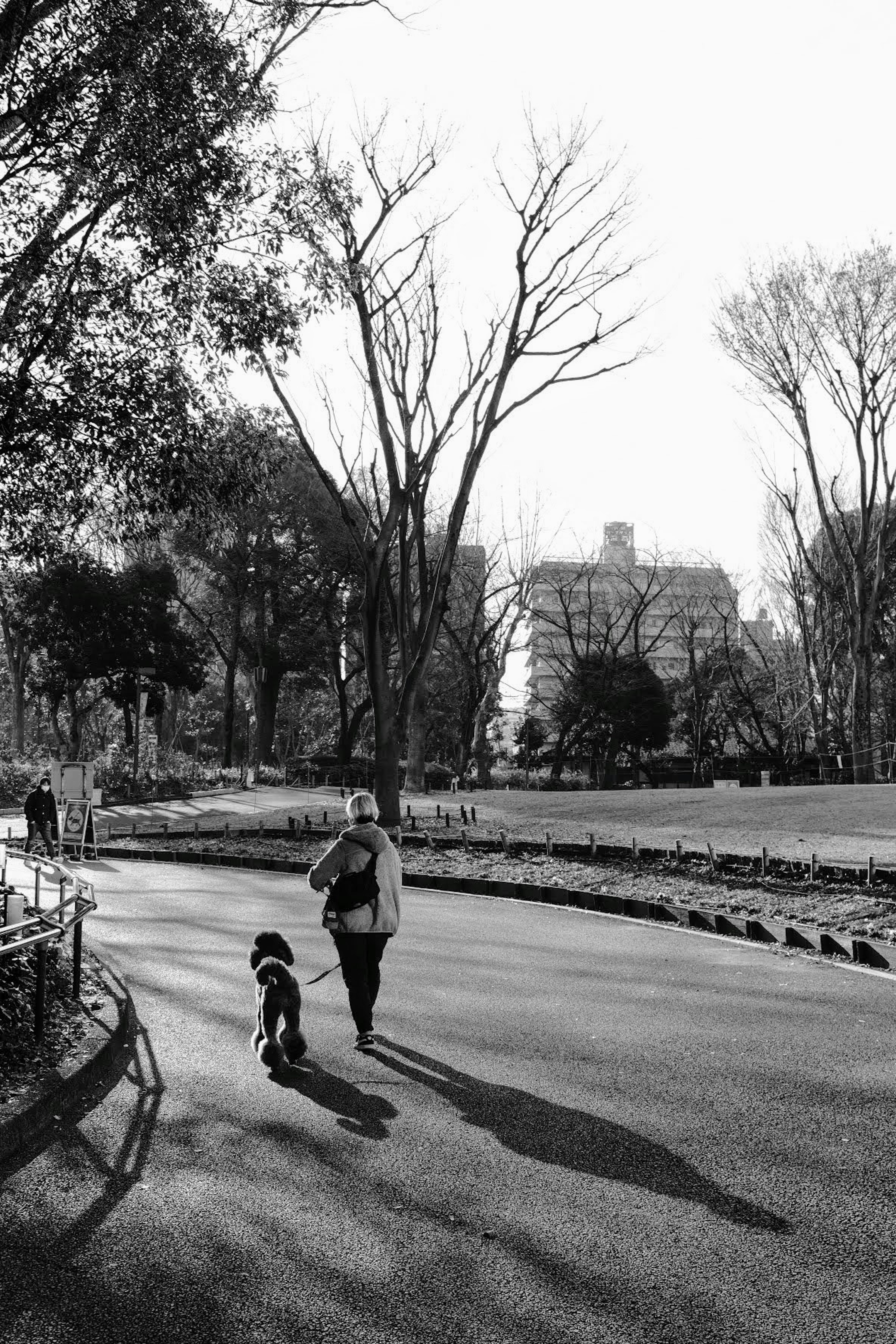 Una persona che passeggia con un cane in un parco in bianco e nero