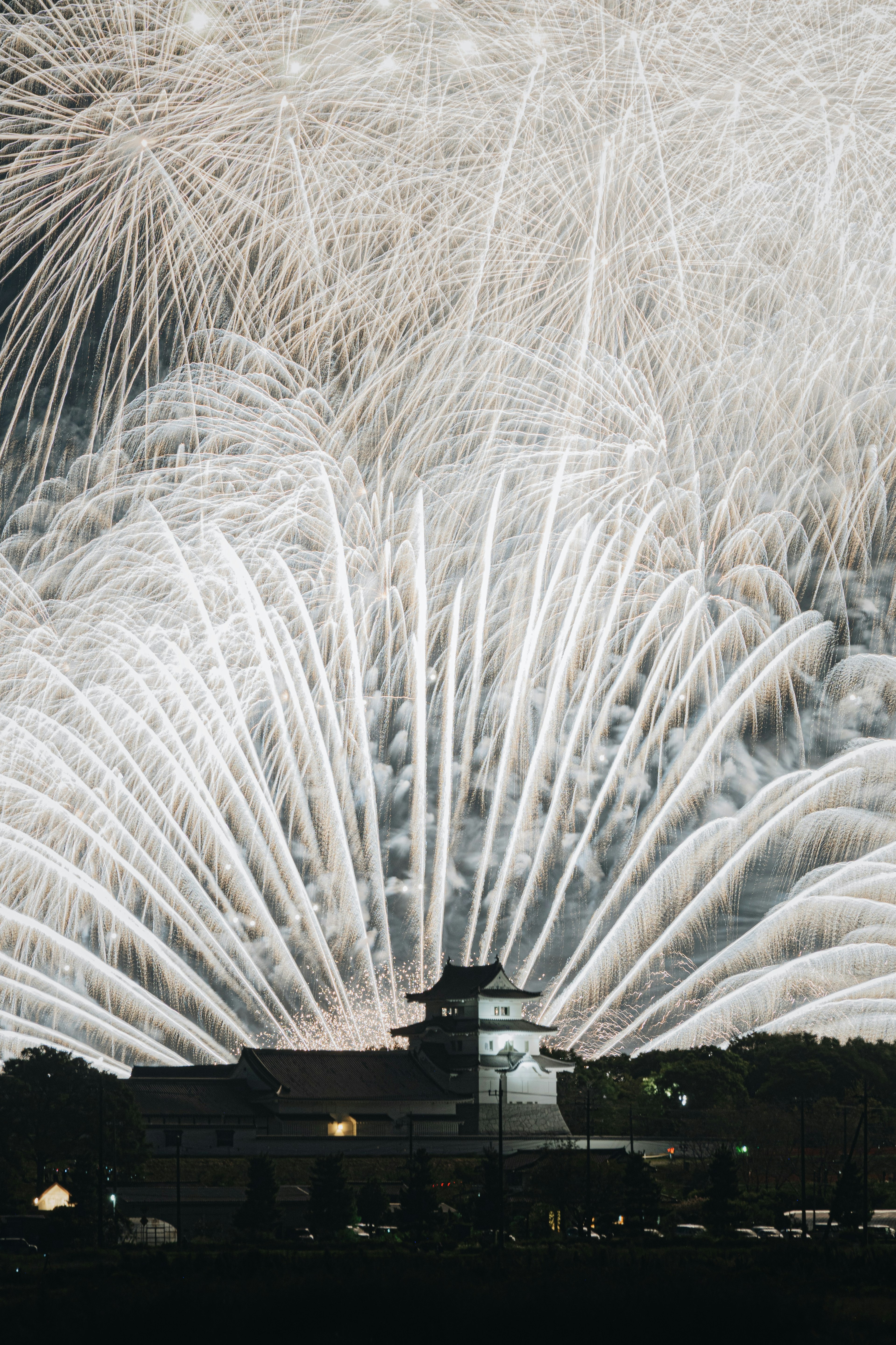 花火大会の夜空に広がる白い花火の大輪