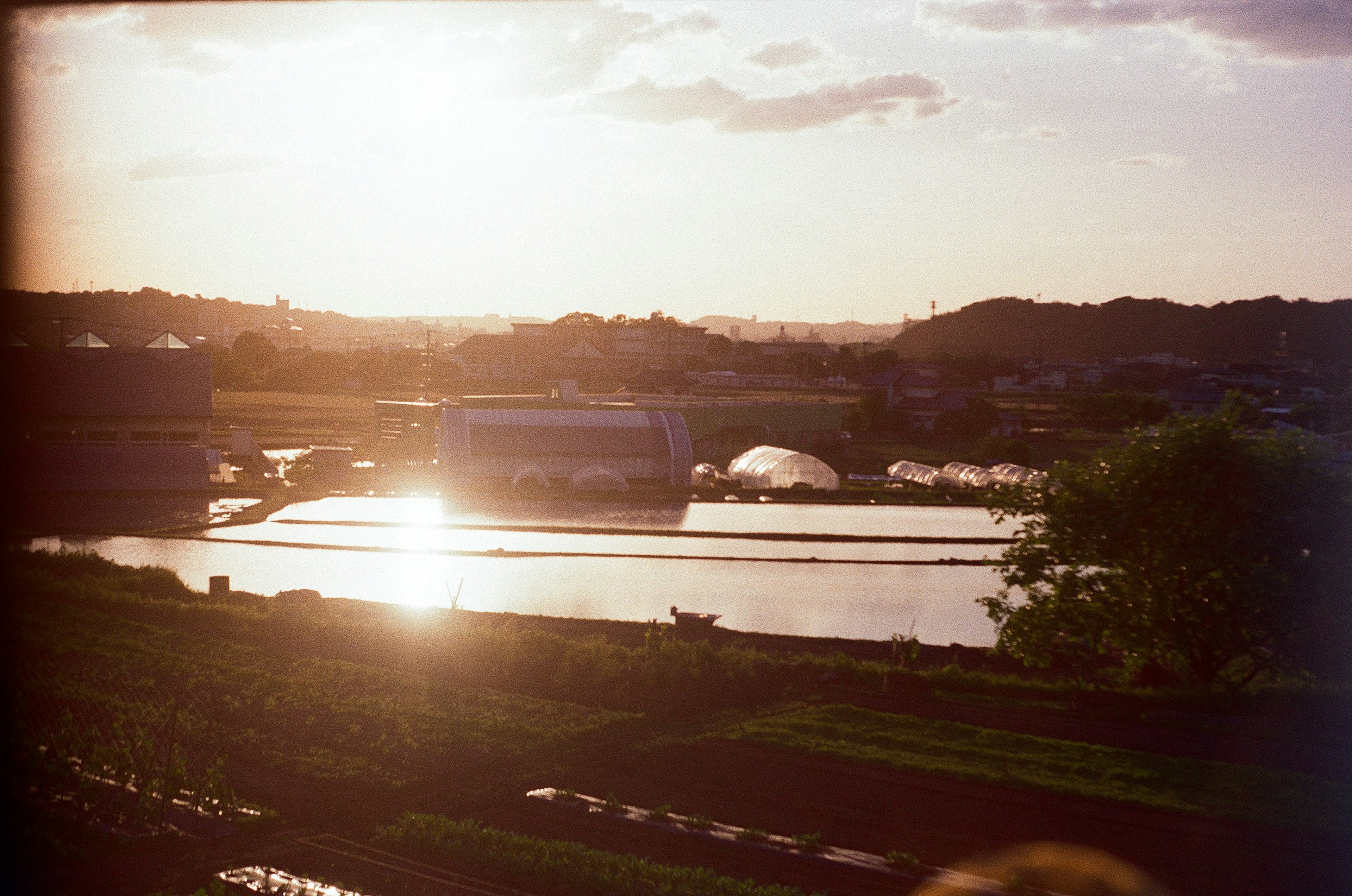 Atardecer reflejándose en campos de arroz con edificios agrícolas