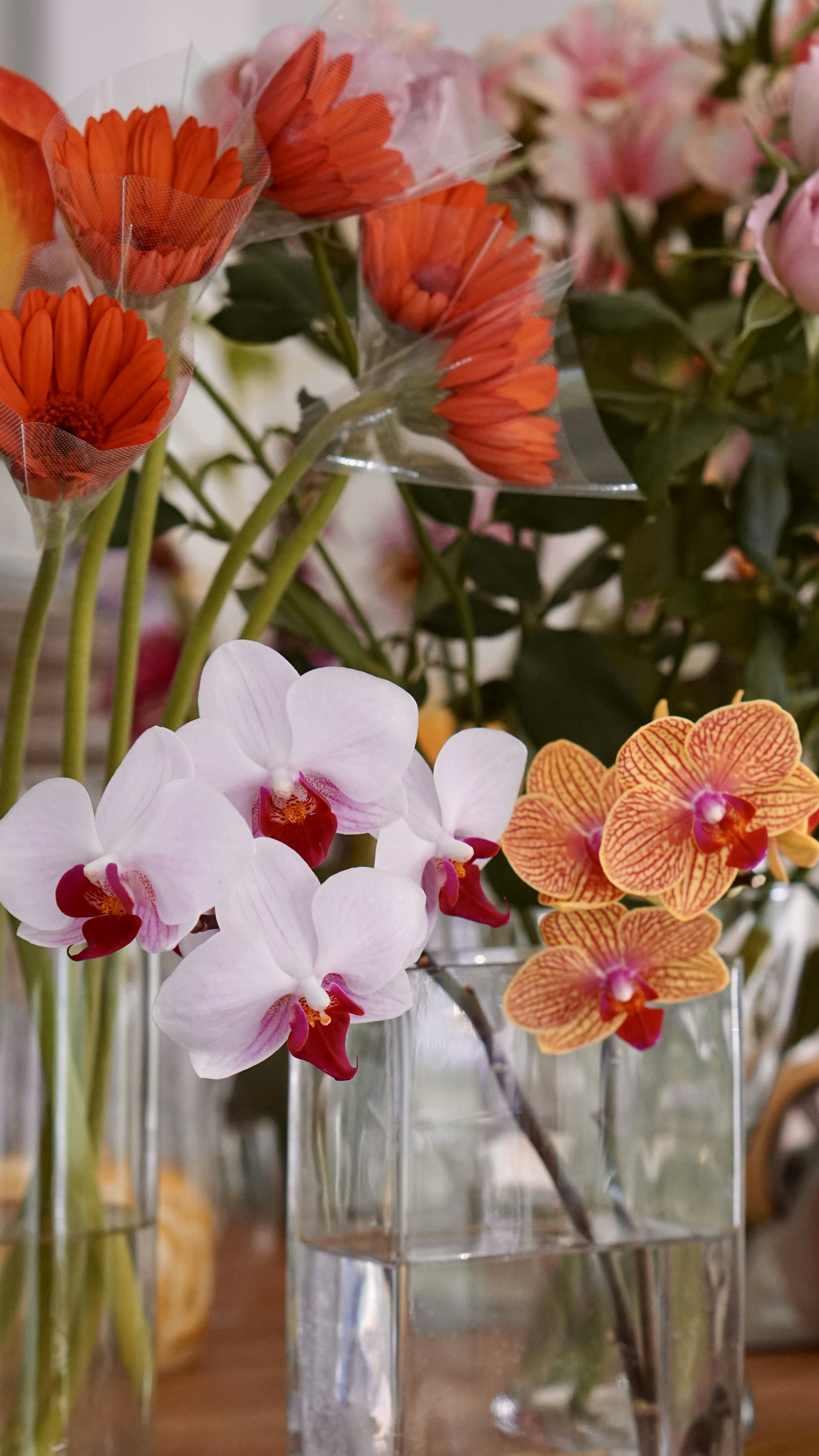 Fleurs magnifiques dans des vases en verre avec des orchidées et des fleurs orange