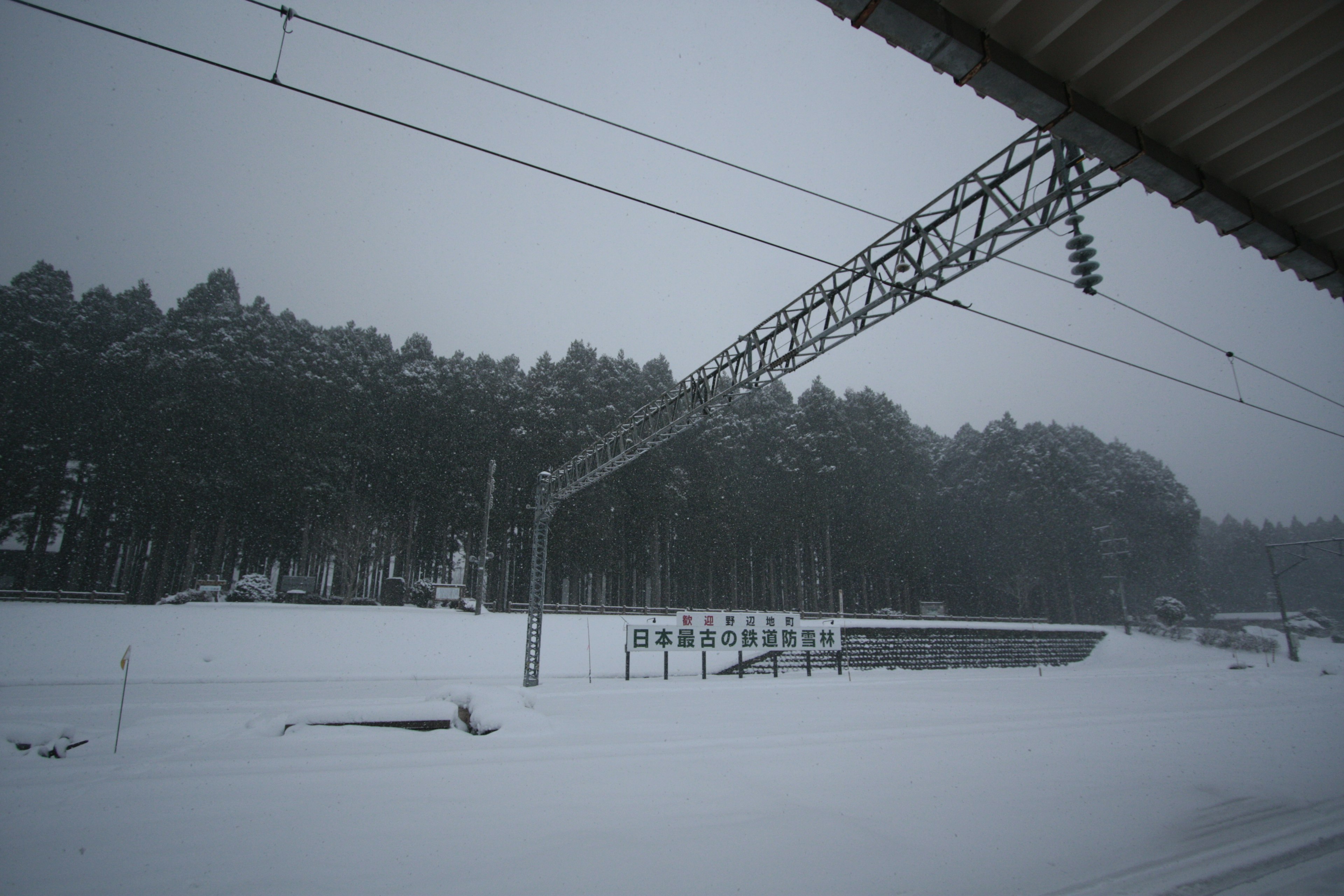 雪に覆われた風景と木々が見える駅のプラットフォーム