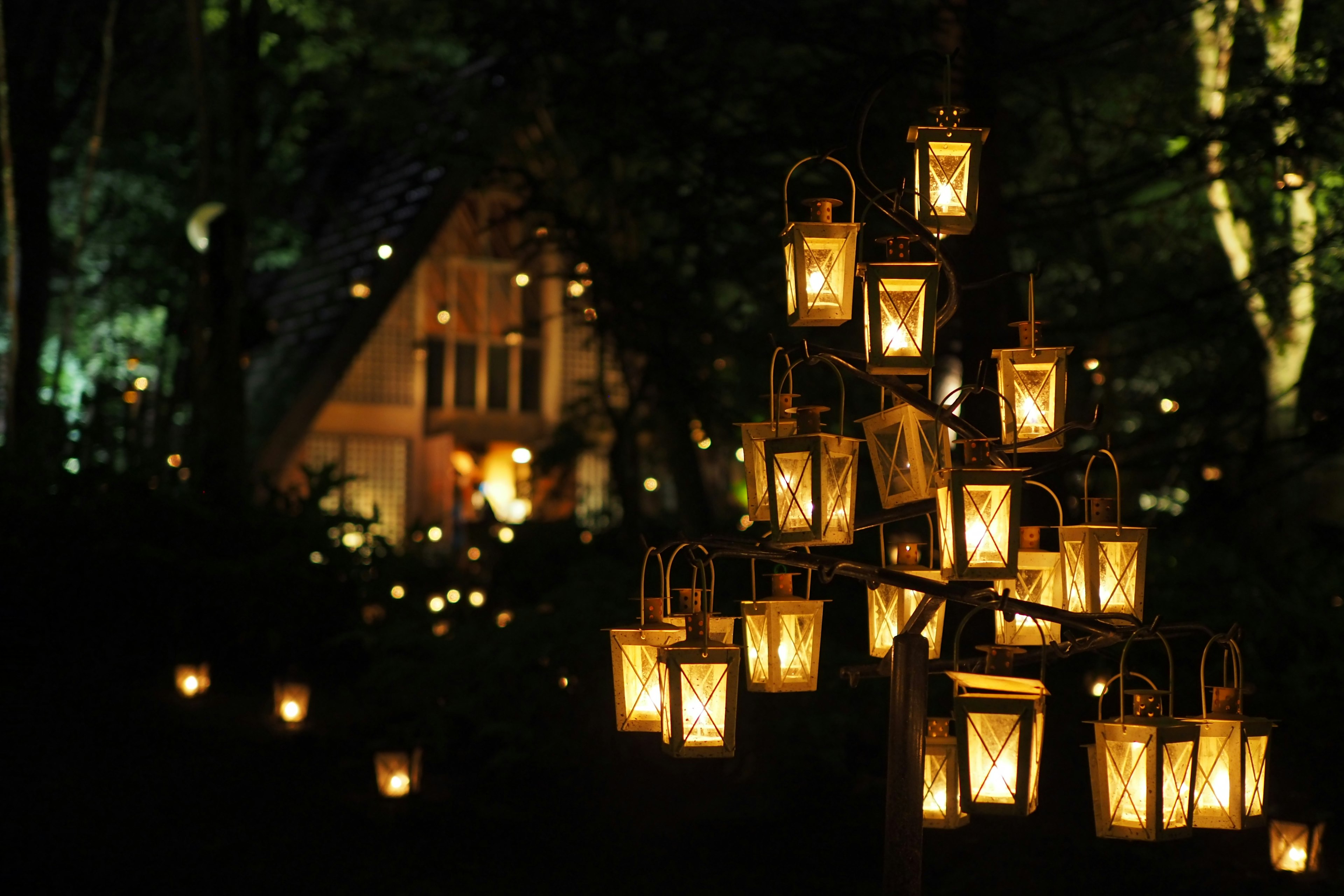 A scenic view of illuminated lanterns in a dark forest