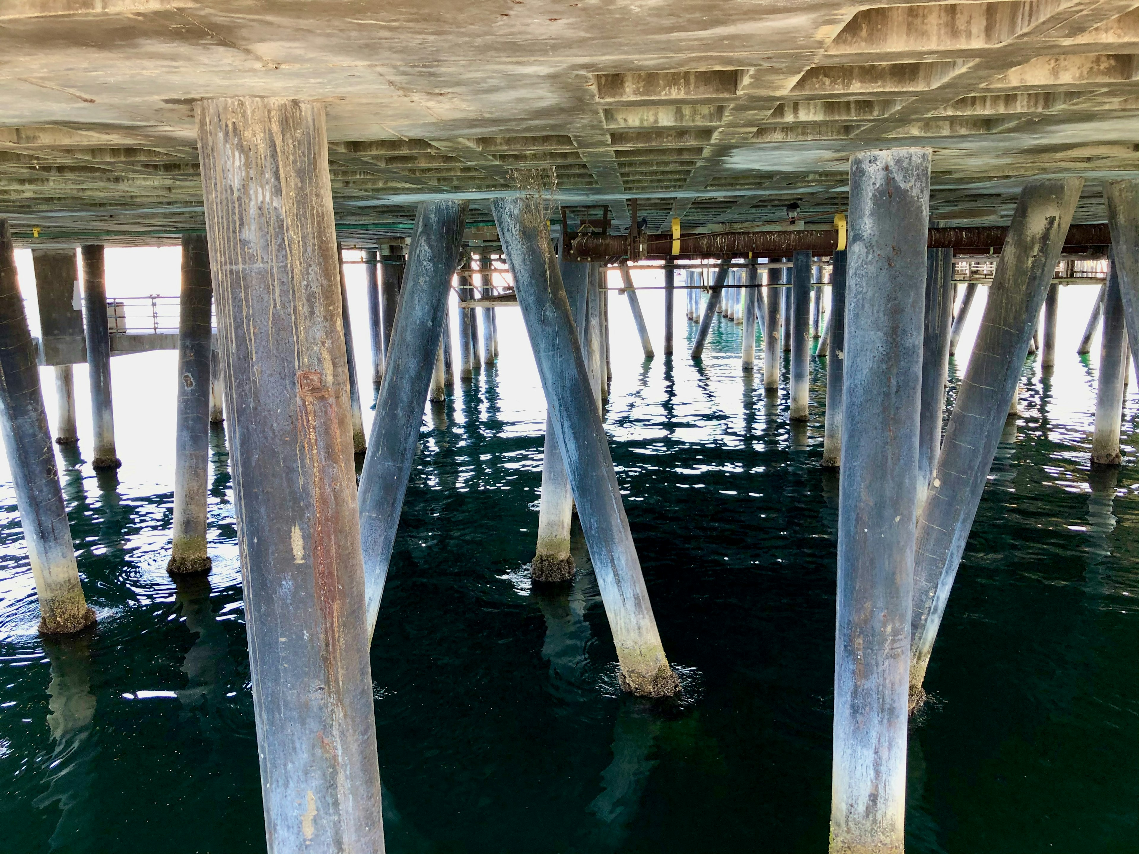 Debajo de un muelle que muestra pilares de madera y reflejos en el agua