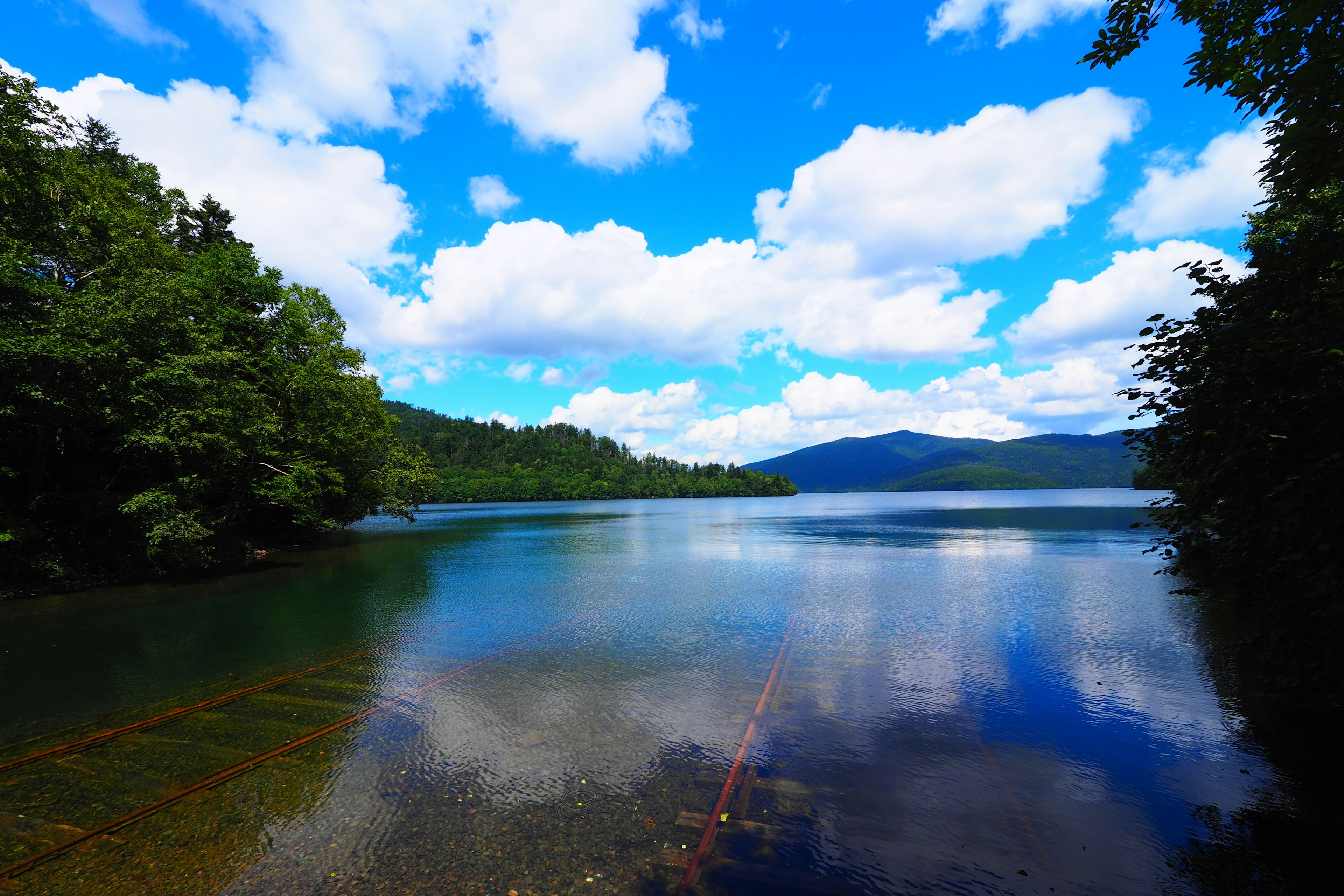 湖泊風景，藍天白雲，綠色樹木在水面上反射