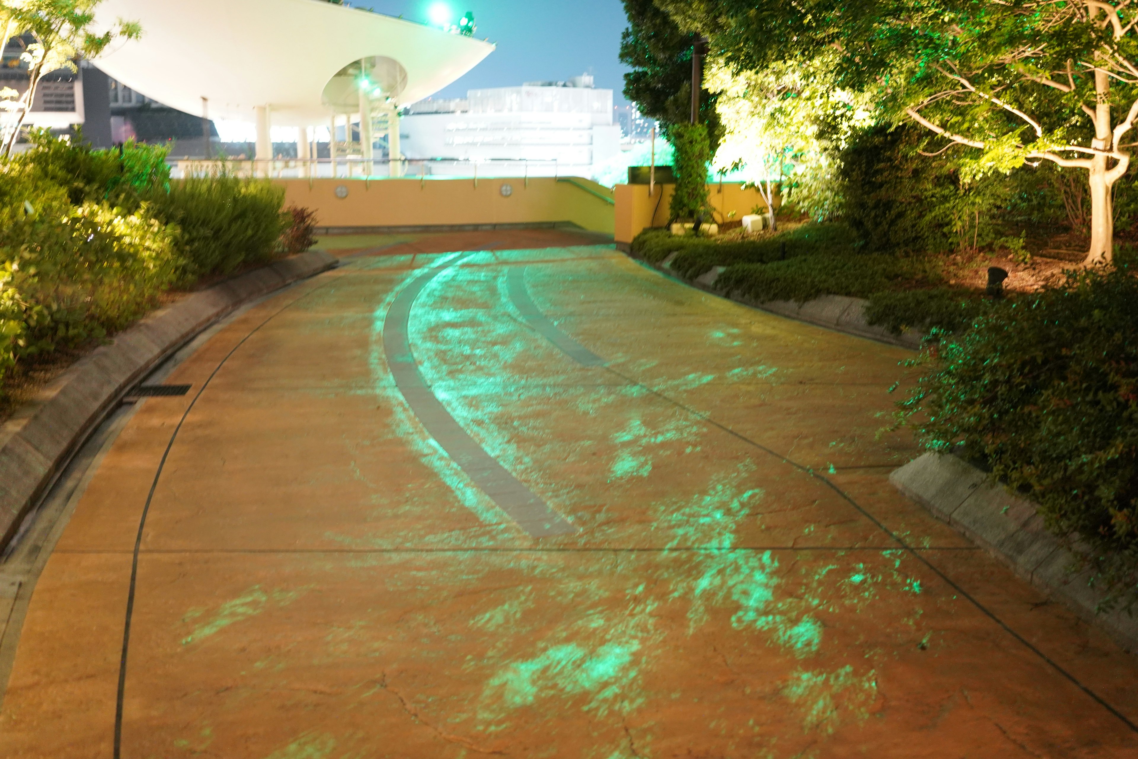 Camino pavimentado con reflejos de luz verde y vegetación circundante