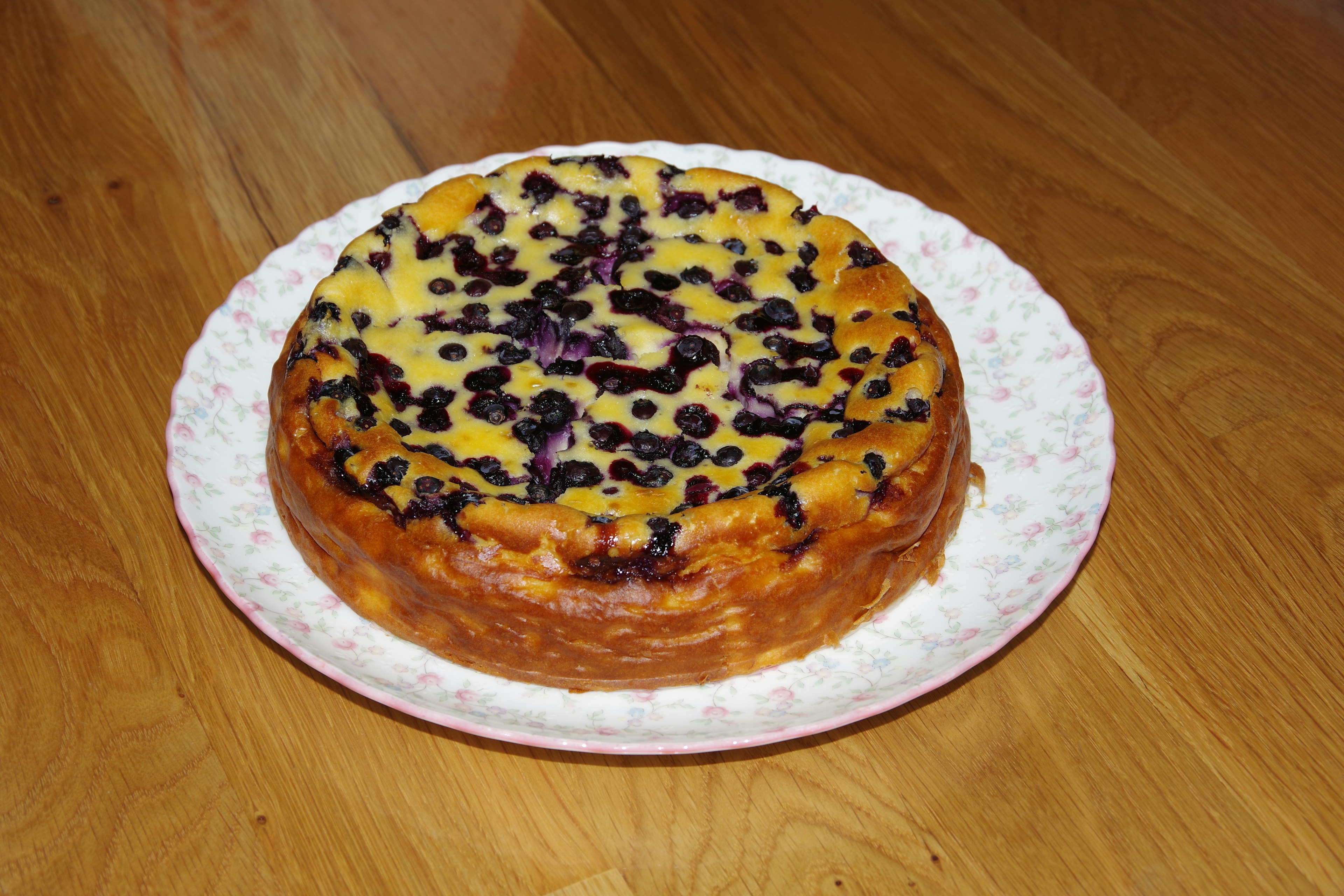 Gebackener Blaubeerkäsekuchen auf einem dekorativen Teller