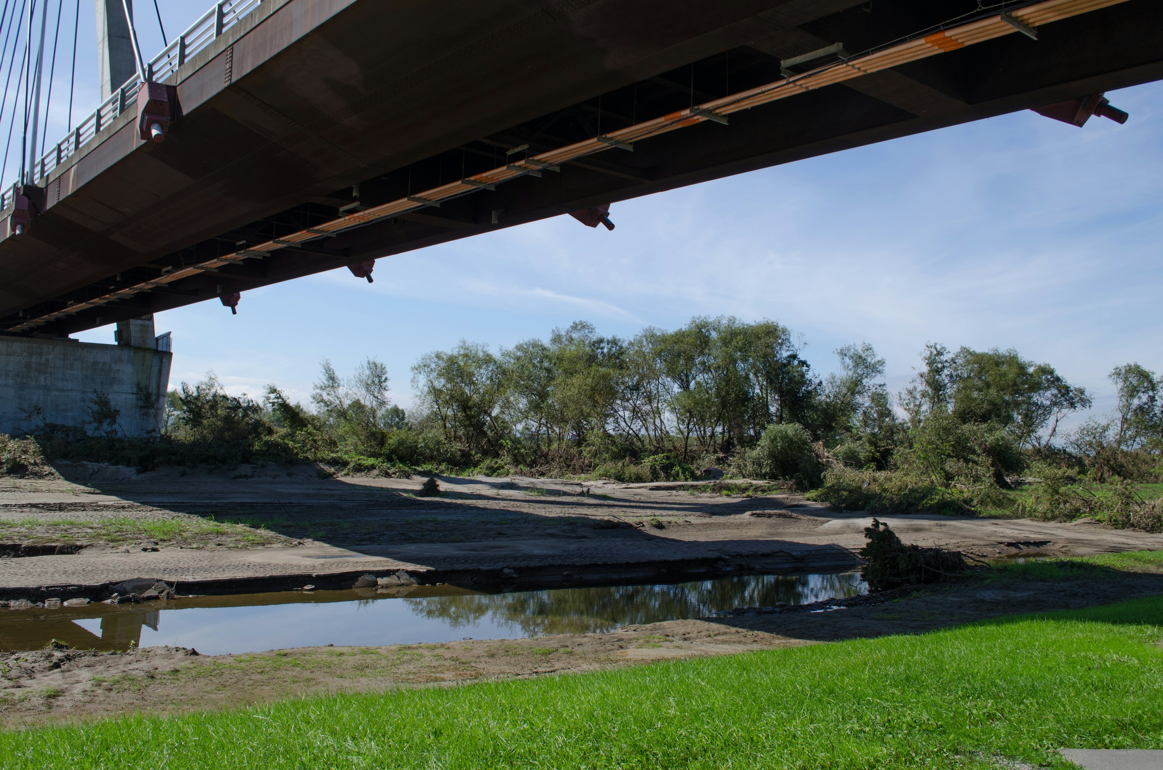 Blick auf eine Hängebrücke über einem grasbewachsenen Bereich und Pfützen darunter