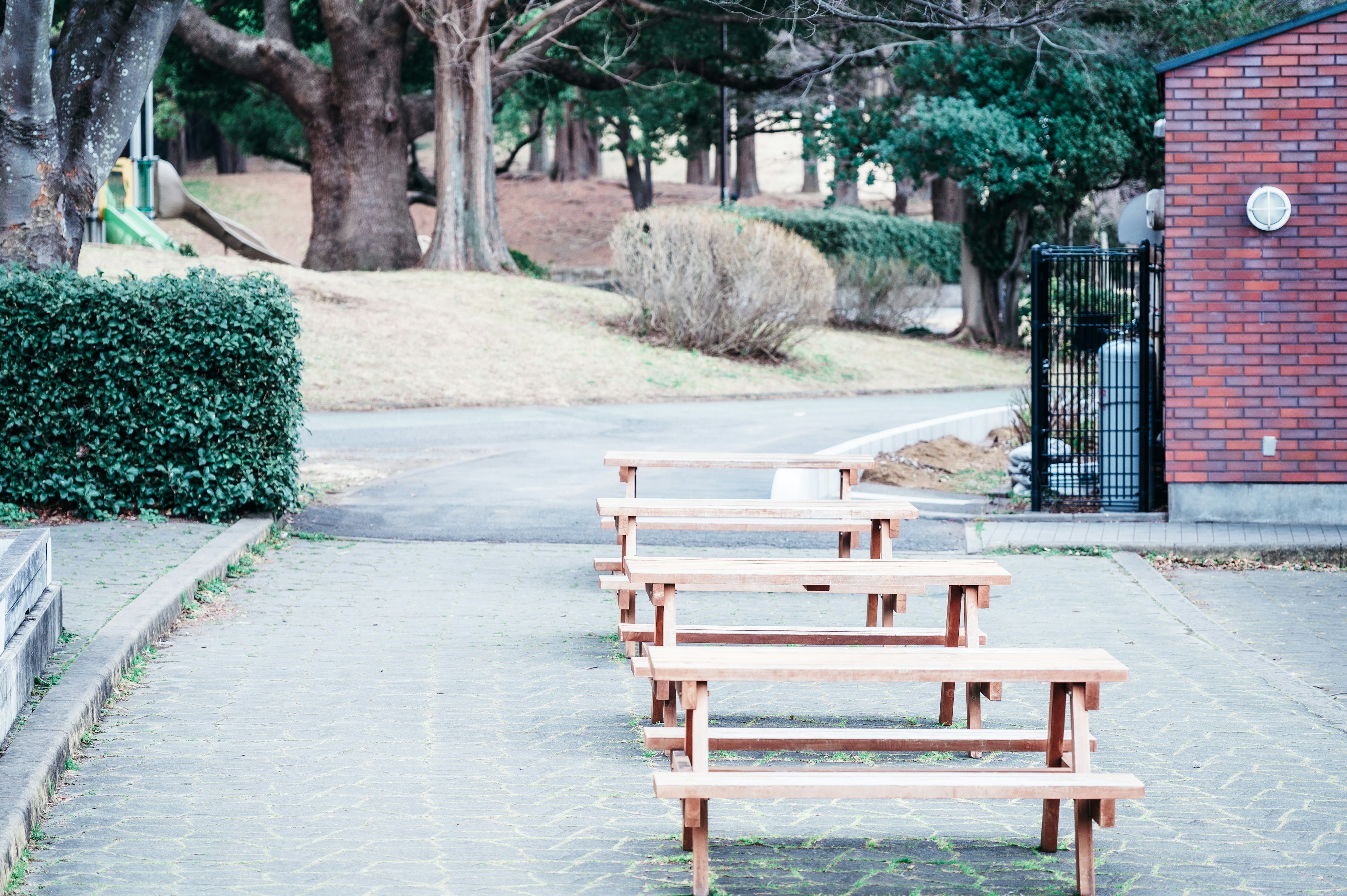 Bancs en bois alignés le long d'un chemin de parc calme avec de la verdure