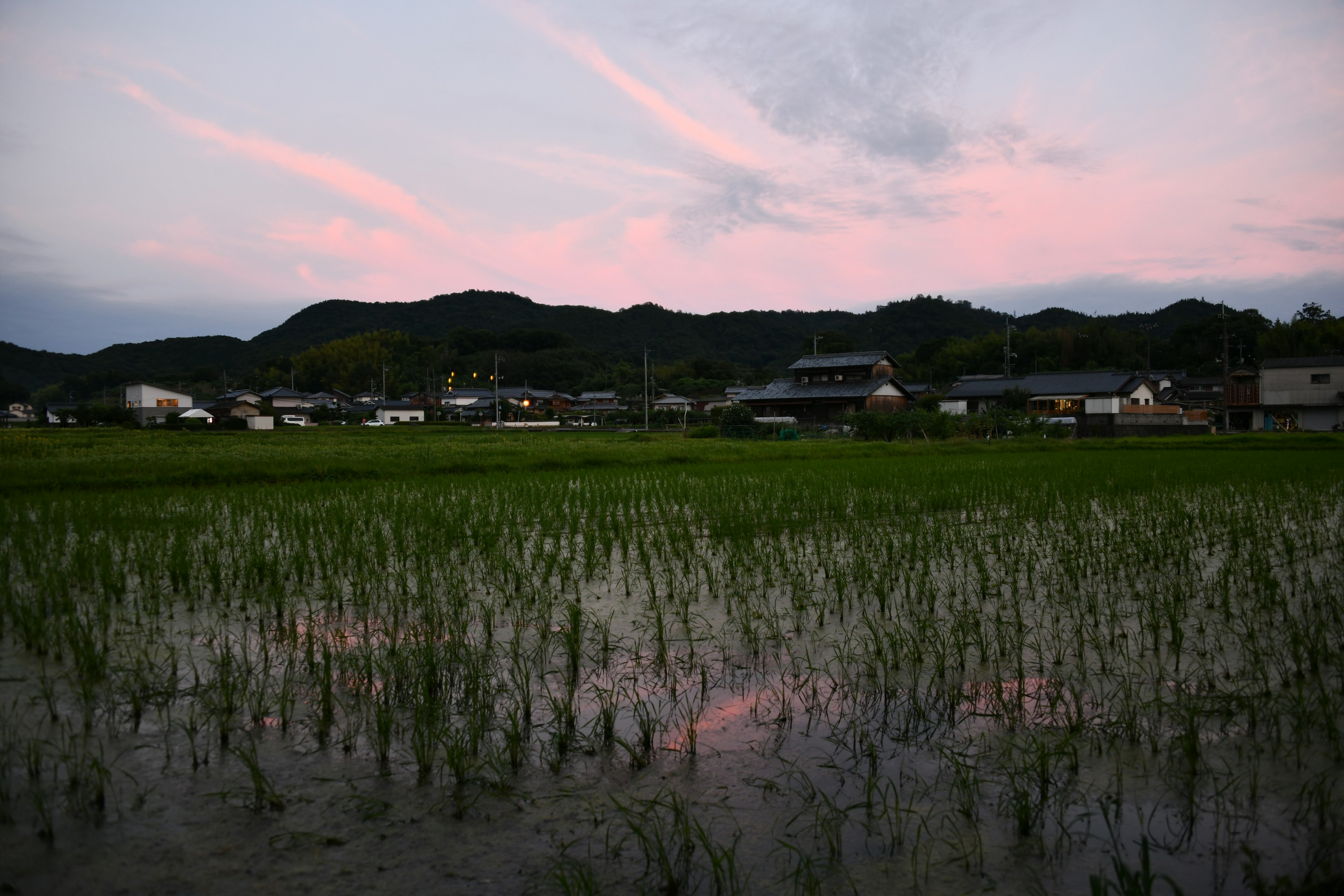 Paisaje de campos de arroz y montañas al atardecer