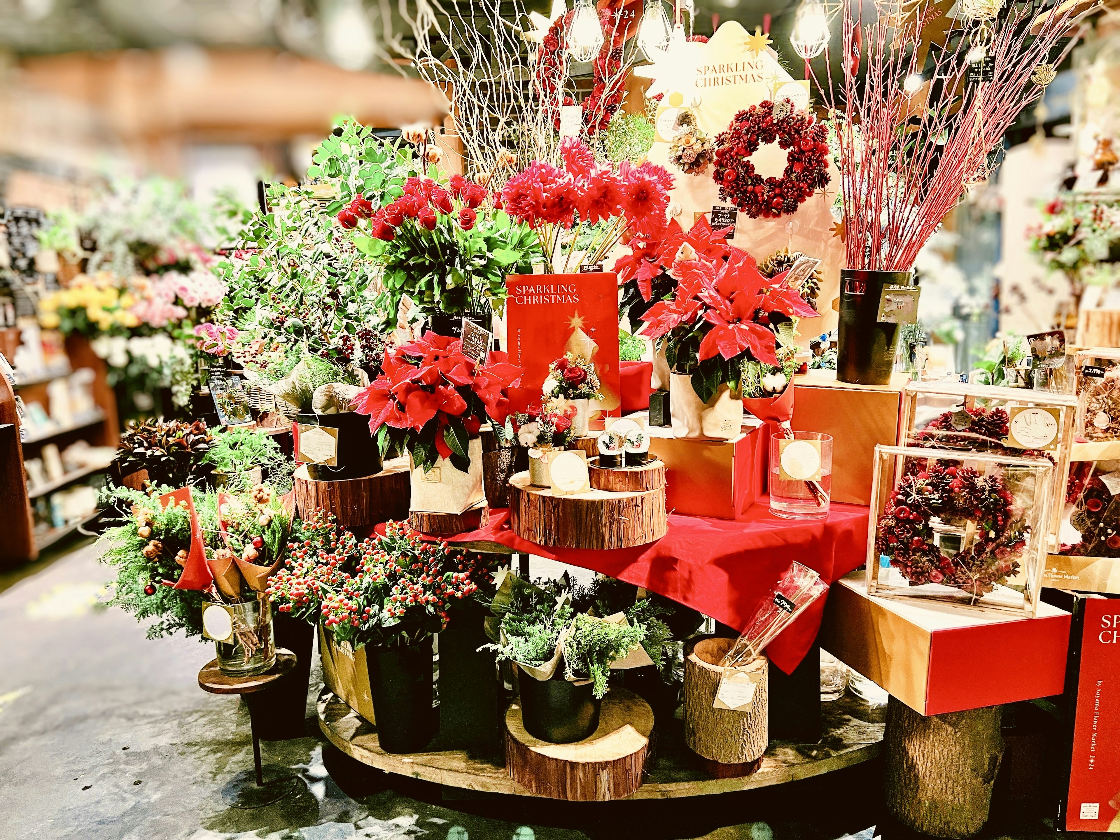 Exhibición floral vibrante con flores rojas y plantas verdes