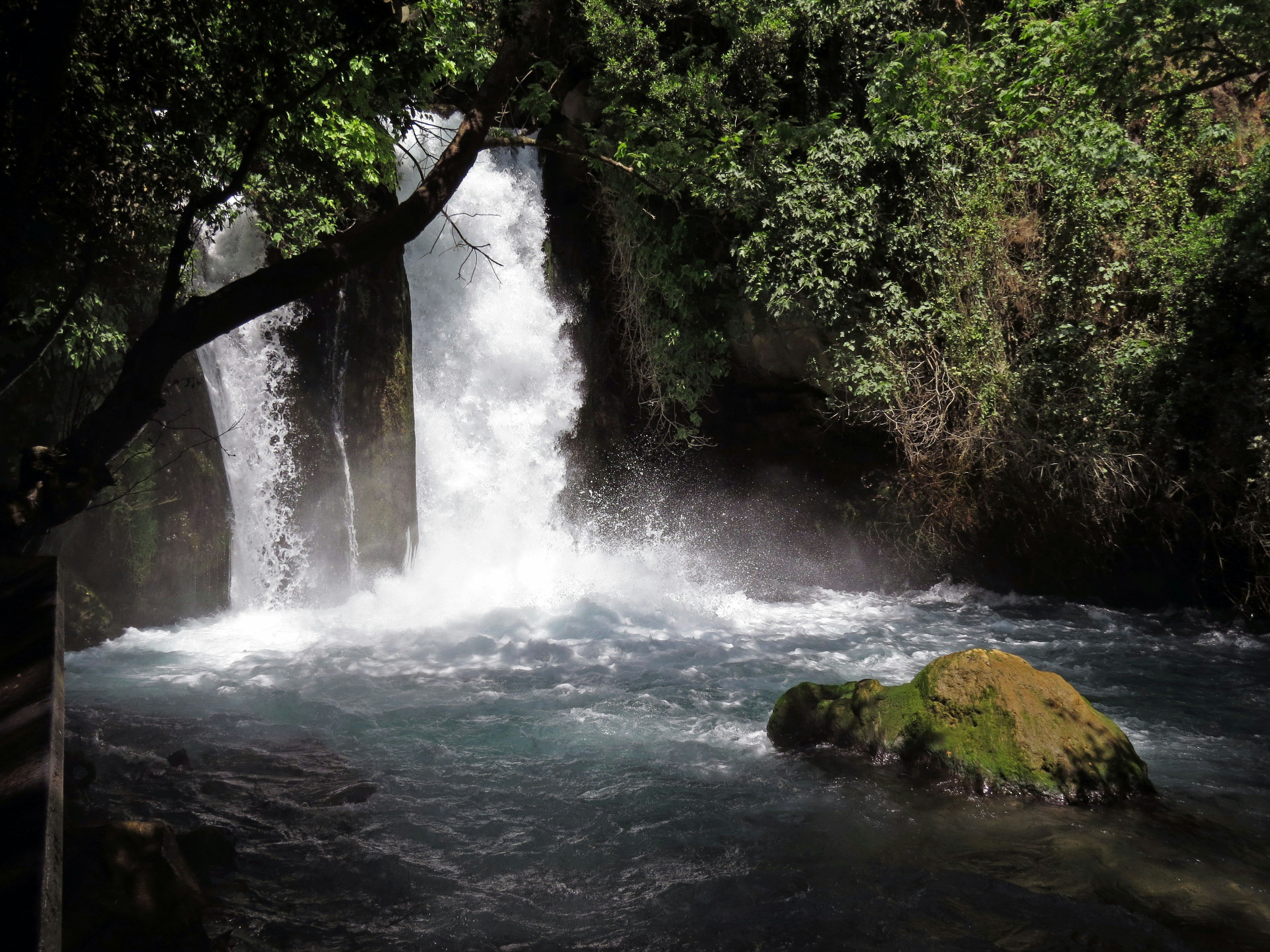 Waterfall cascading through lush greenery