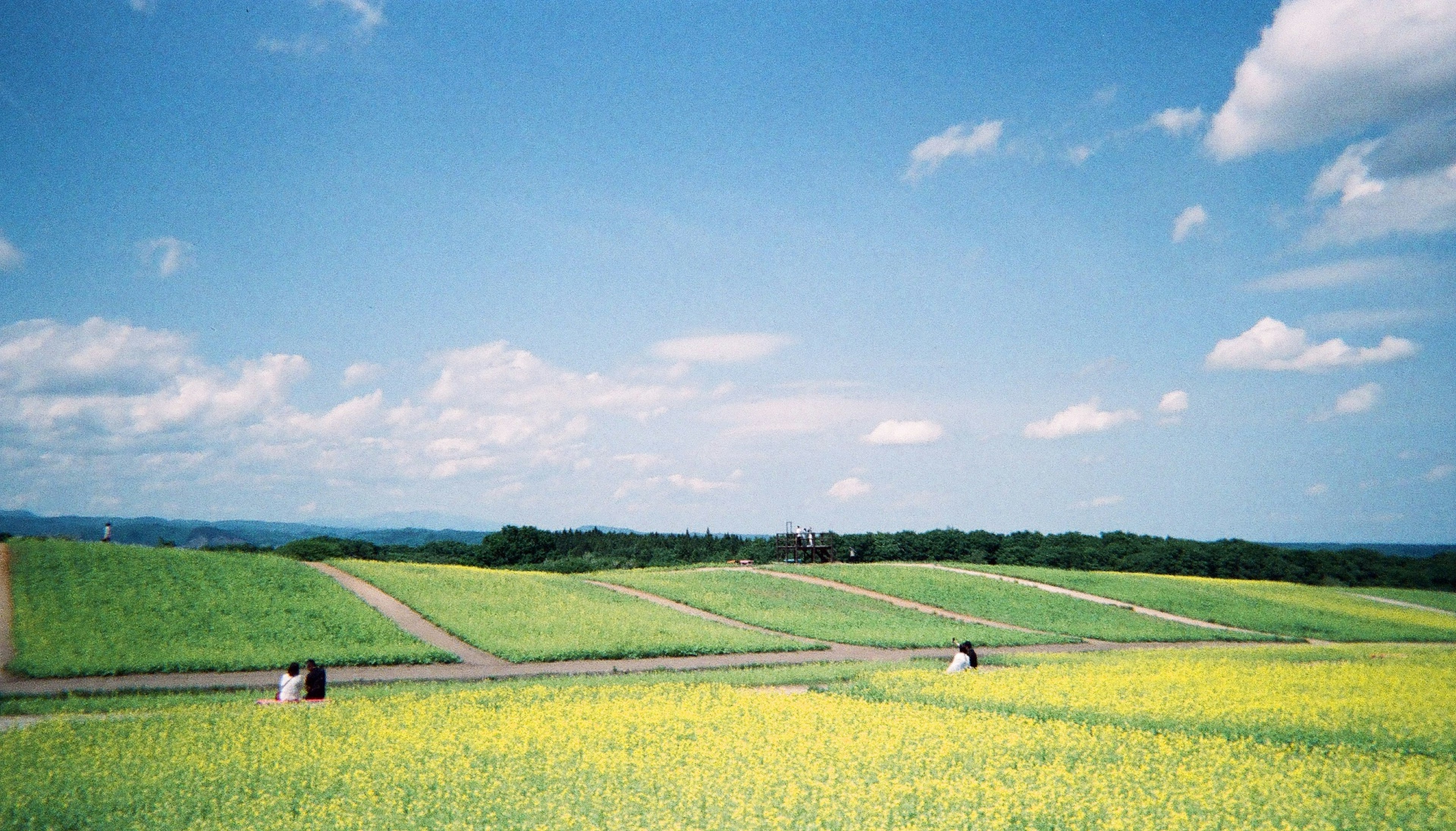 Terres agricoles colorées sous un ciel bleu avec des travailleurs