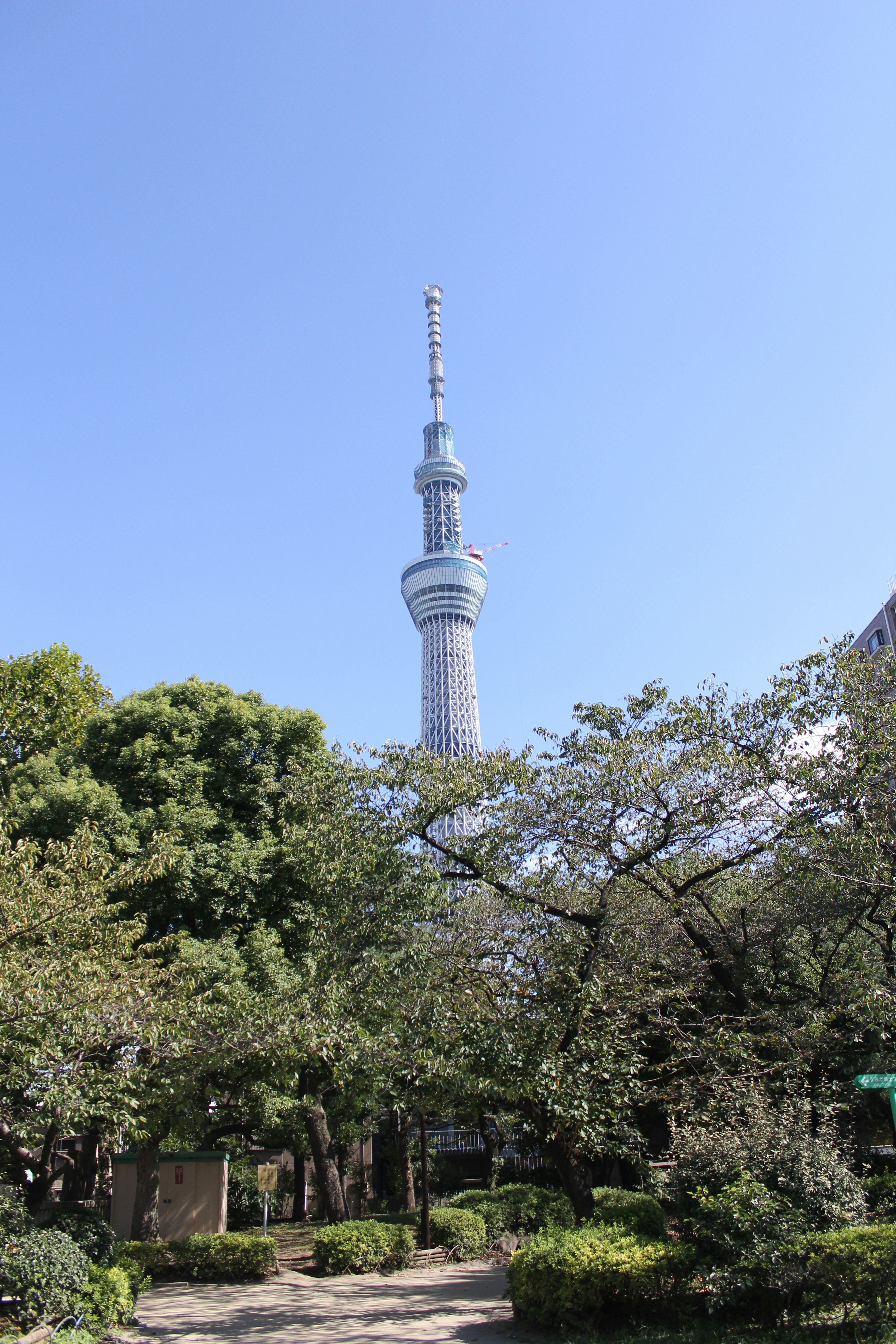 Tokyo Skytree, der unter einem klaren blauen Himmel ragt