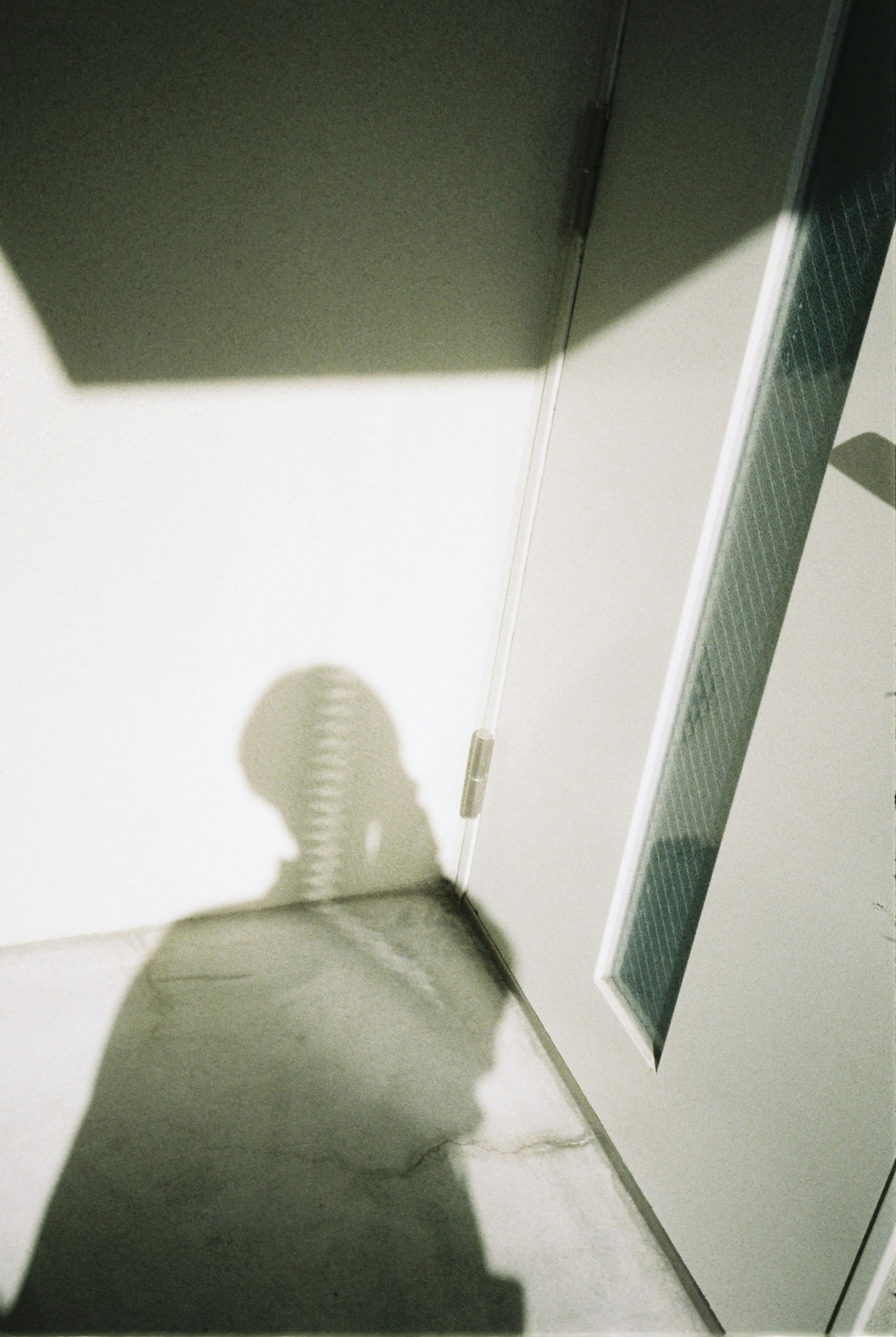 A shadow cast on the wall in a modern interior corner