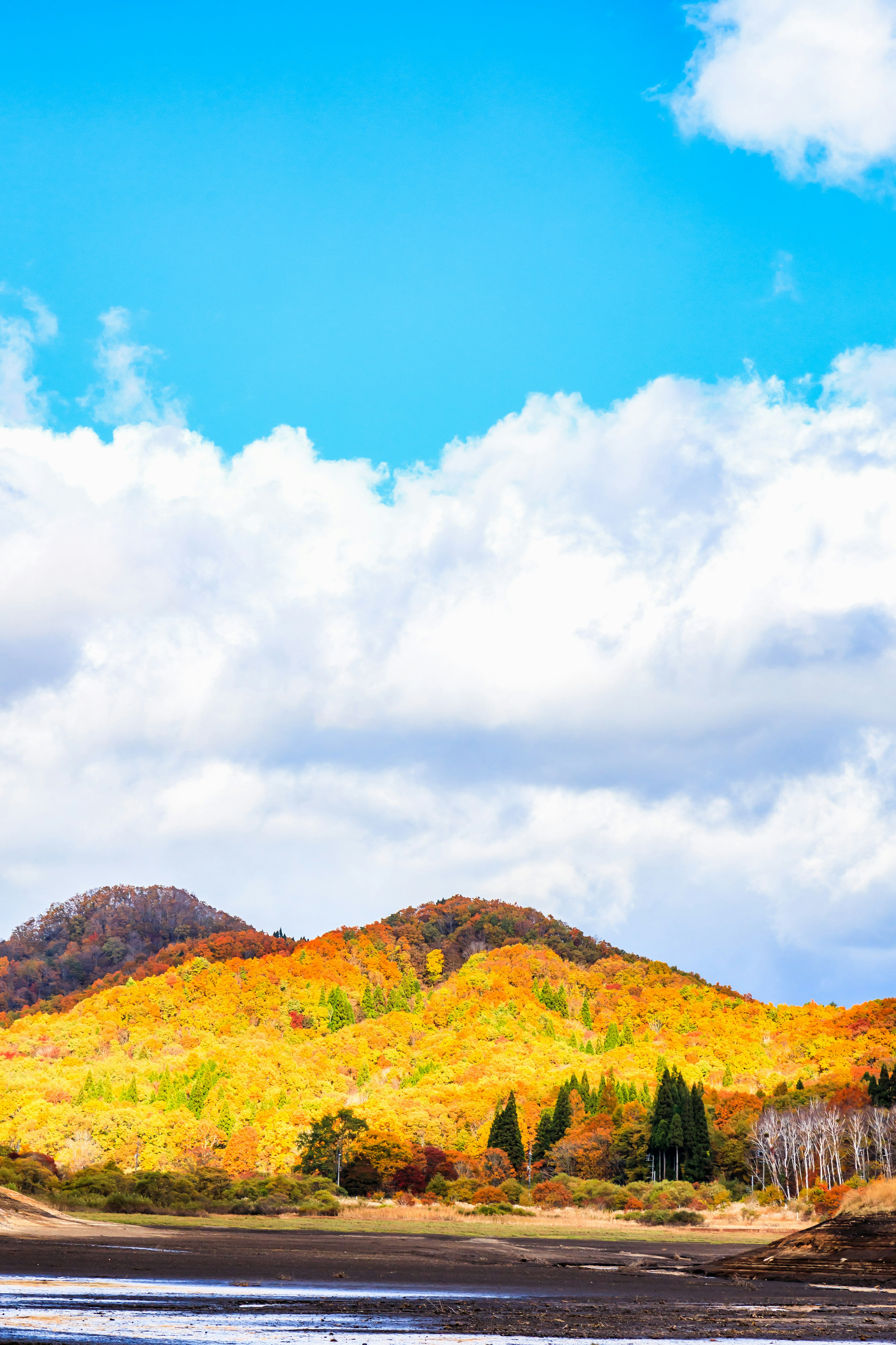 Feuillage d'automne vibrant sur des collines ondulantes sous un ciel bleu éclatant