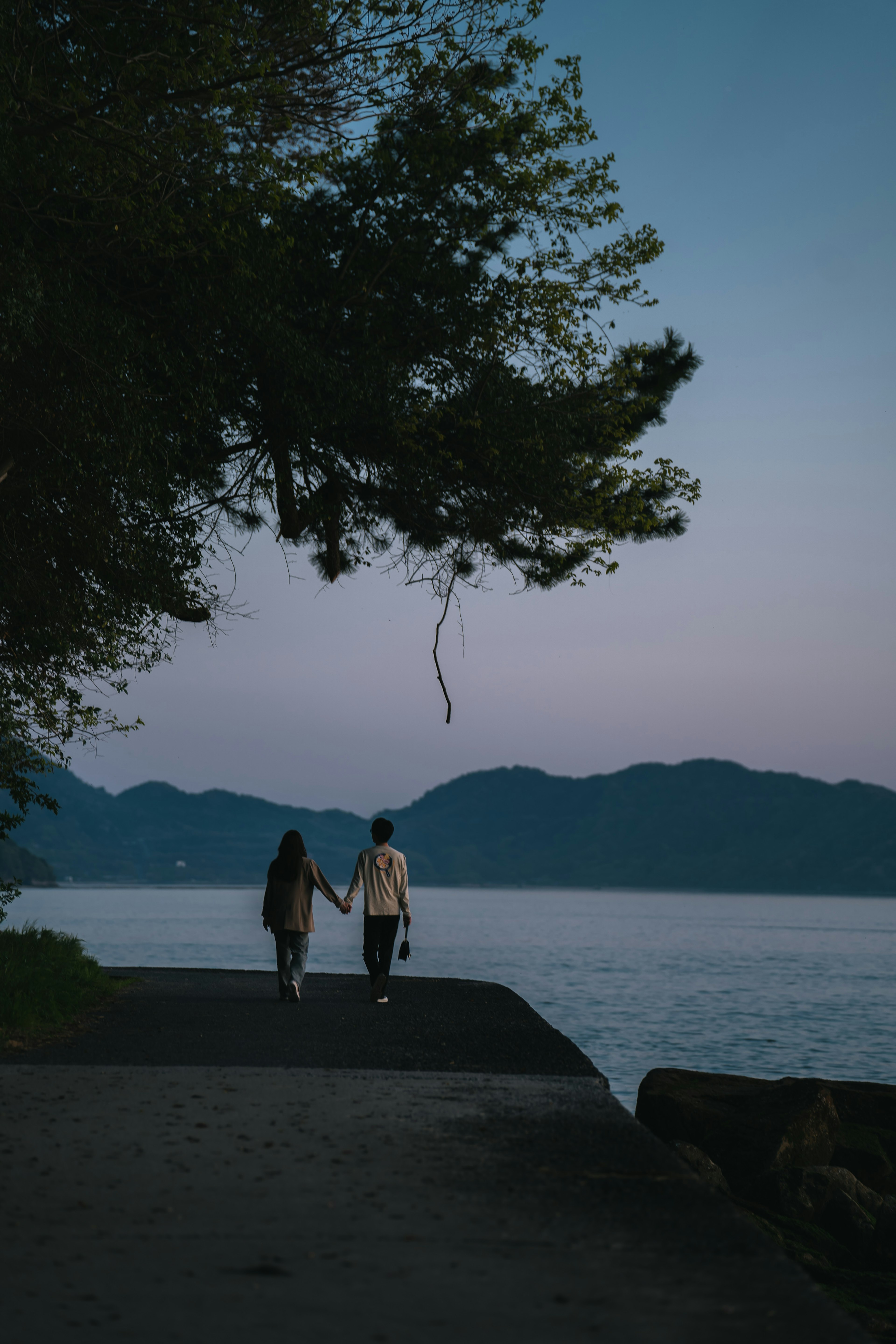 夕暮れの湖畔を手をつないで歩く二人のシルエット