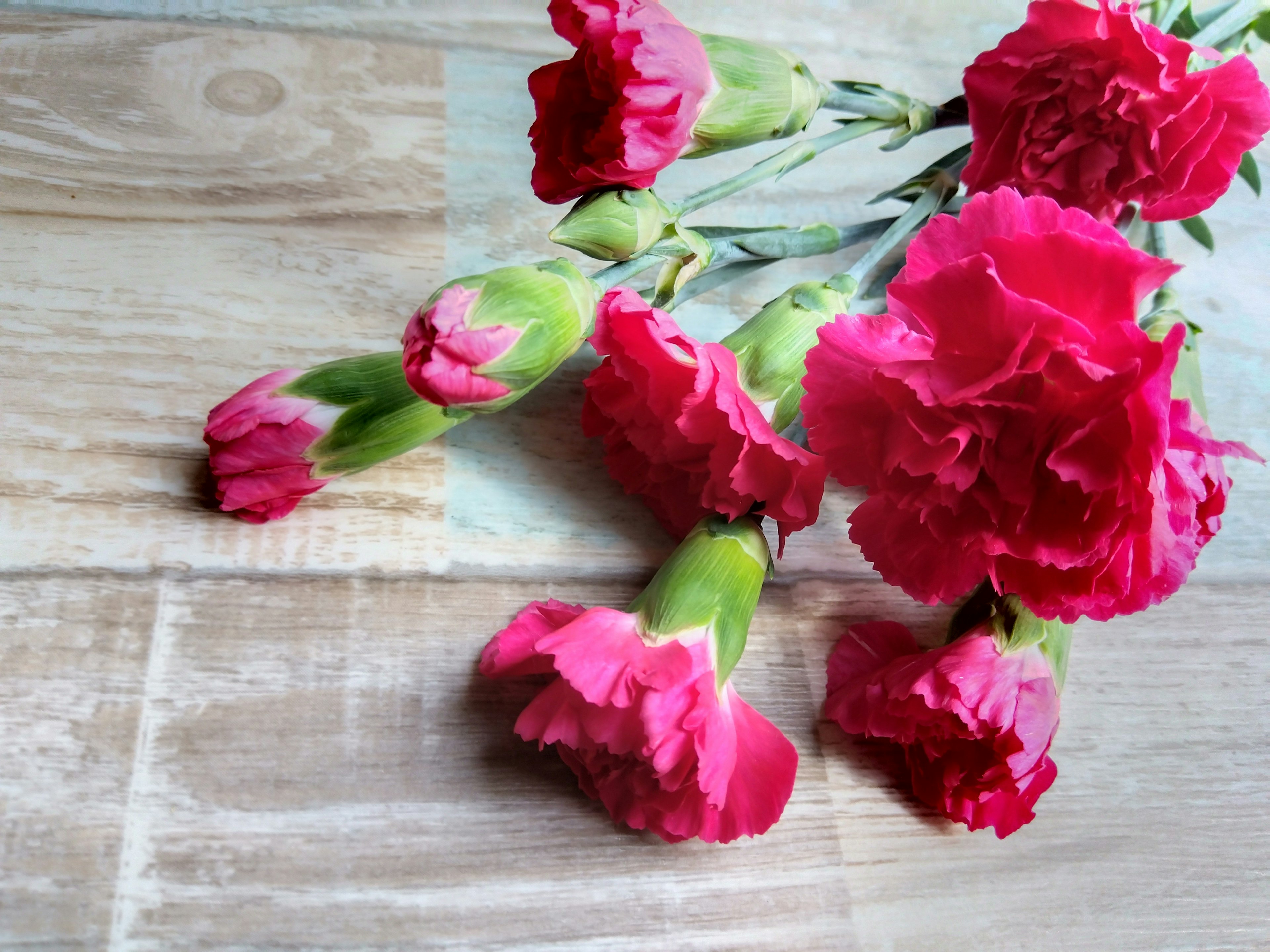 Vibrant pink carnations scattered on a wooden table