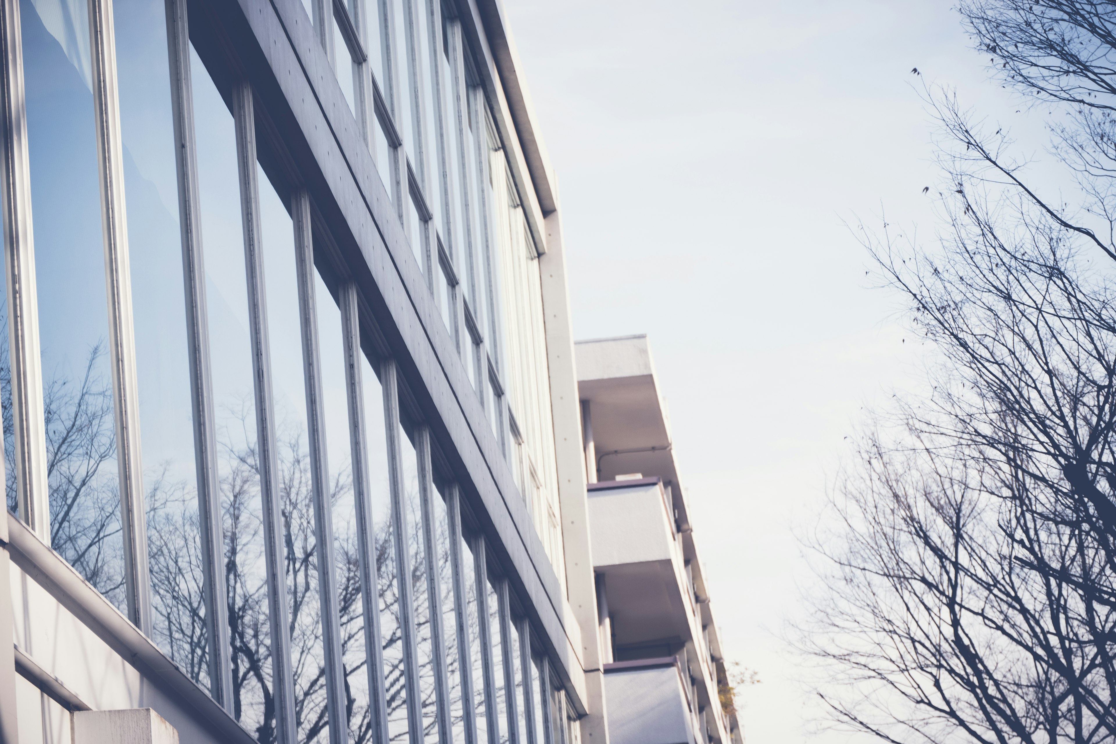 Scène urbaine avec des reflets de verre d'un bâtiment et des arbres d'hiver