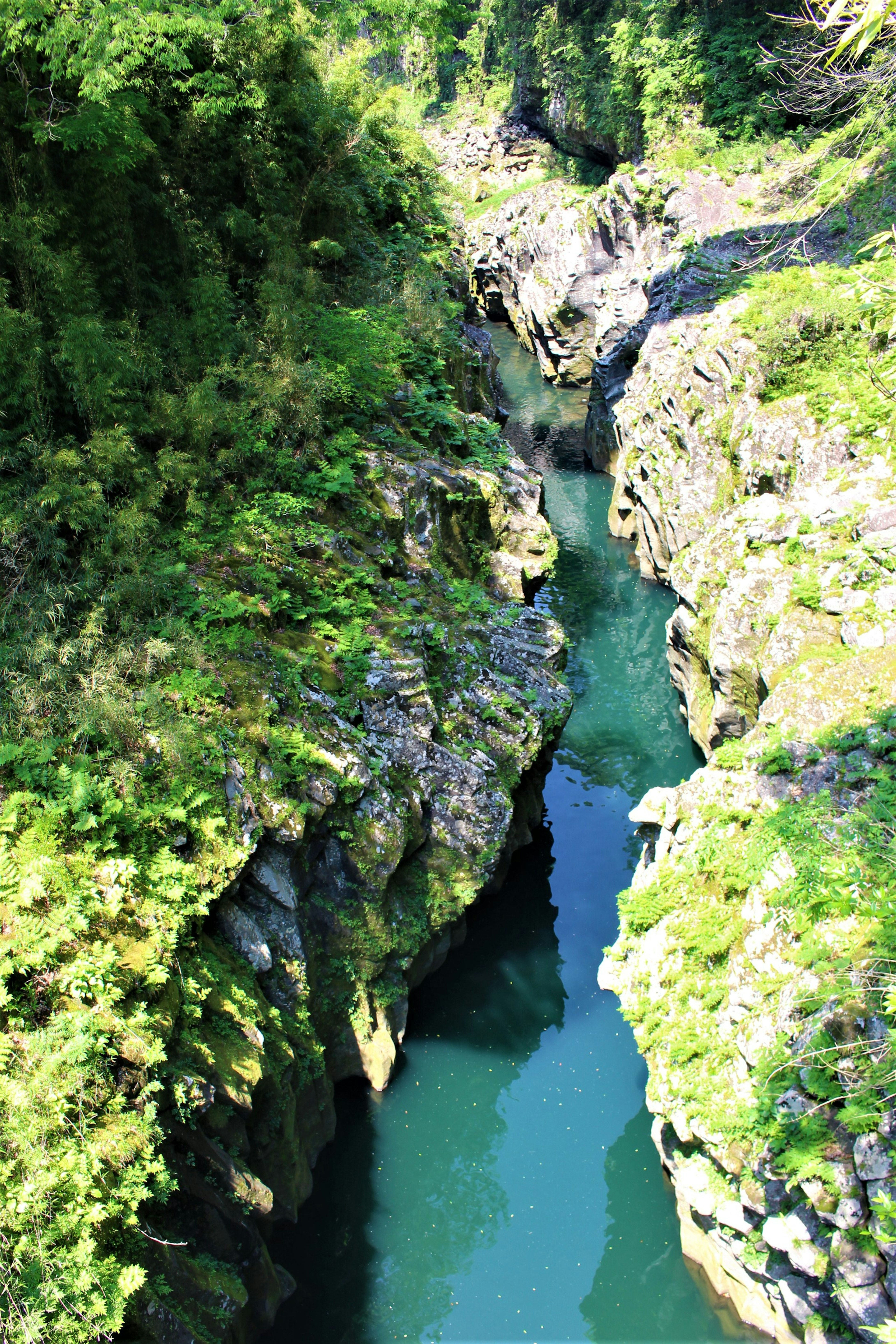 Luftaufnahme eines Canyons mit üppigem Grün und einem blauen Fluss