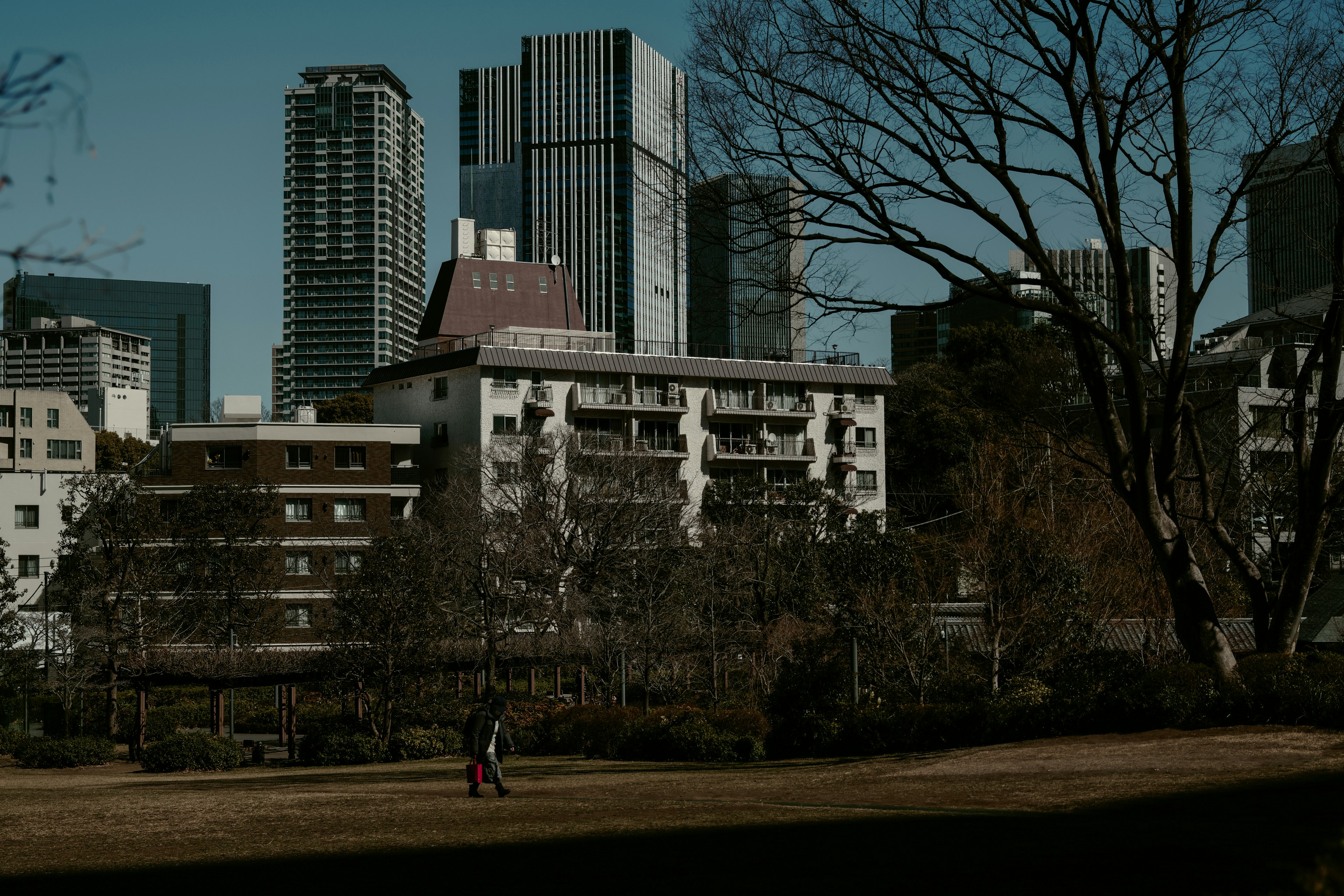 Urban landscape featuring skyscrapers and residential buildings in the background of a park