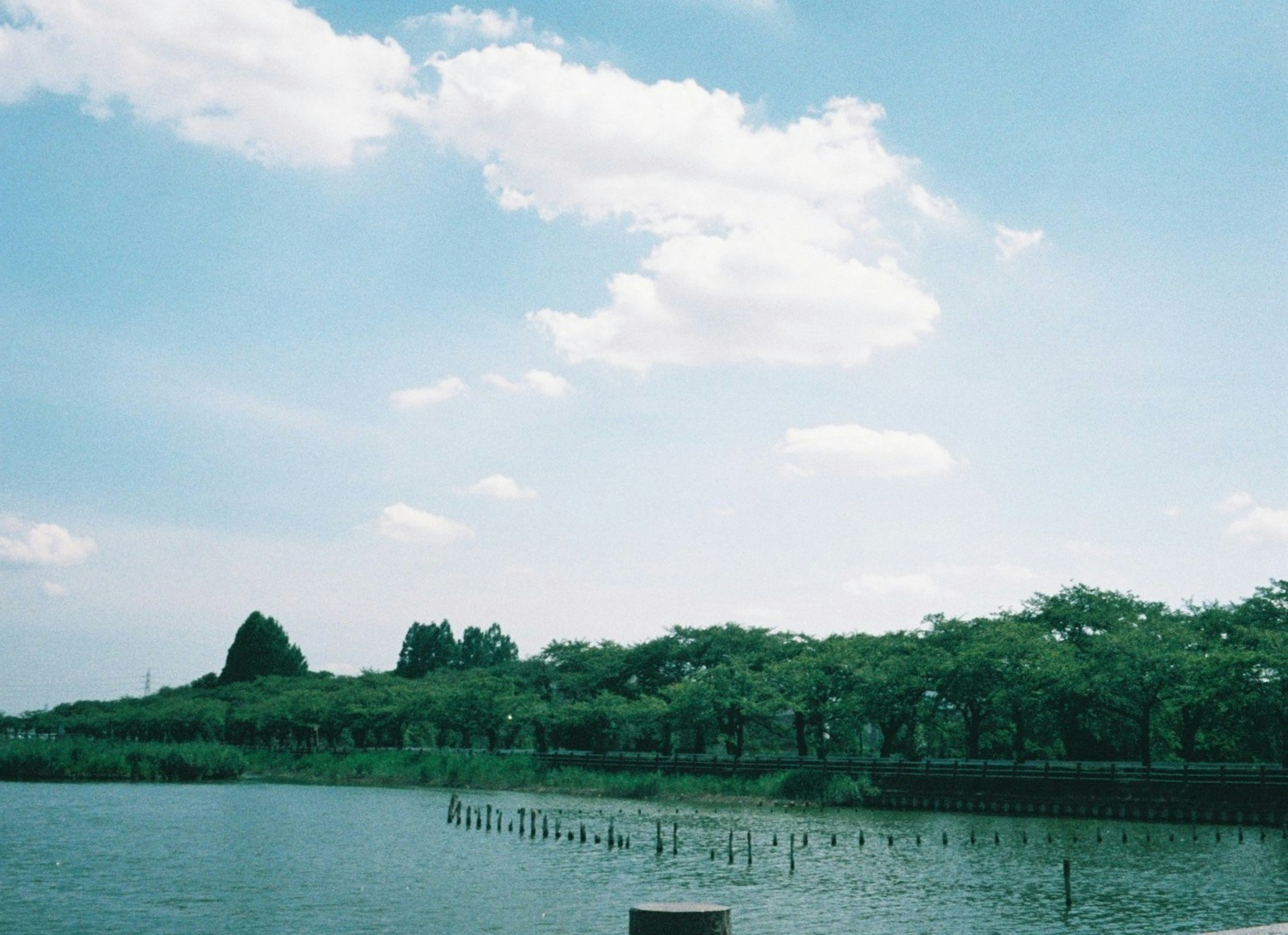 Ruhige Seelandschaft mit blauem Himmel und weißen Wolken üppige grüne Bäume umgeben das Wasser