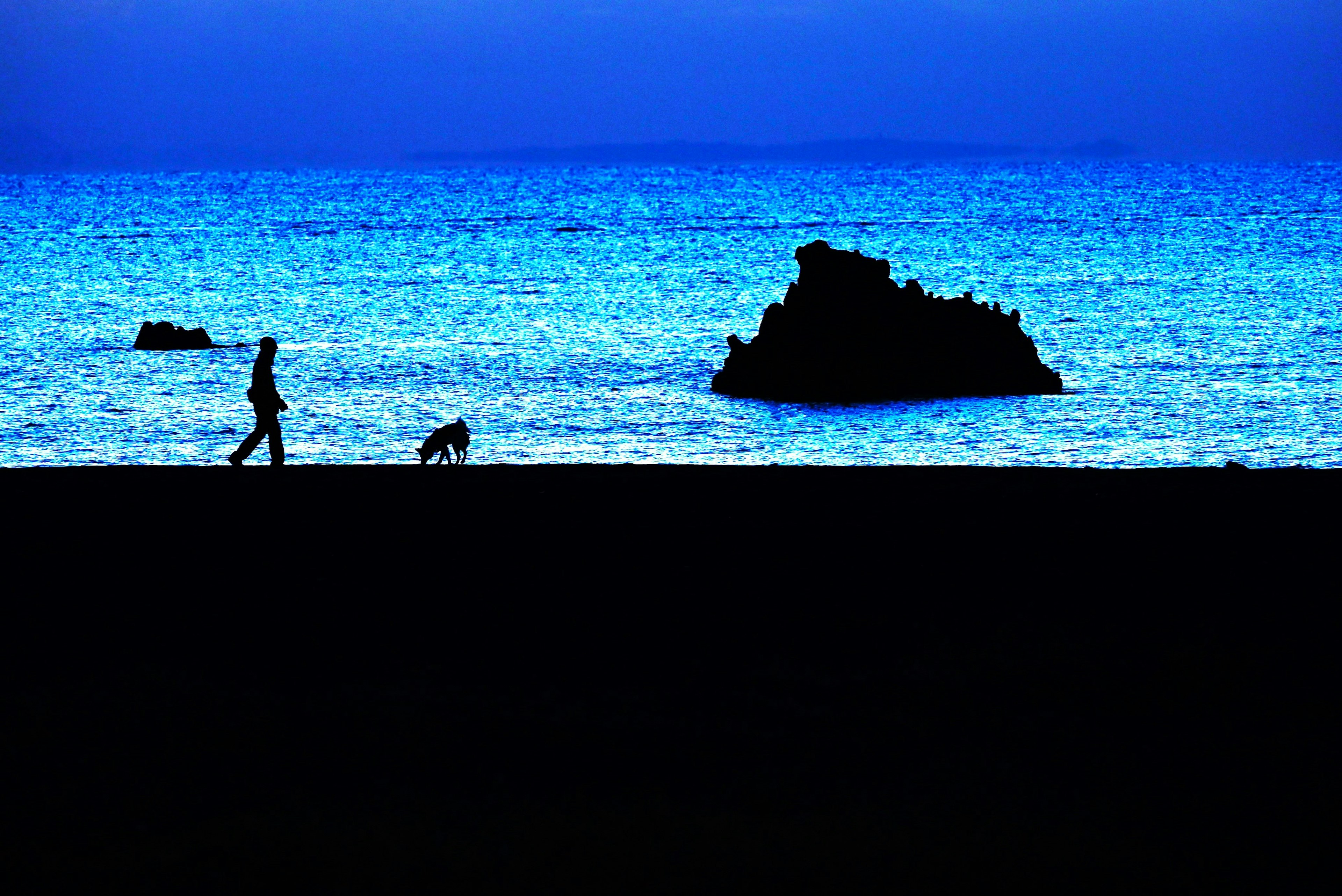 Silhouette of a person walking a dog along the coast with a blue sea and rocks in the background