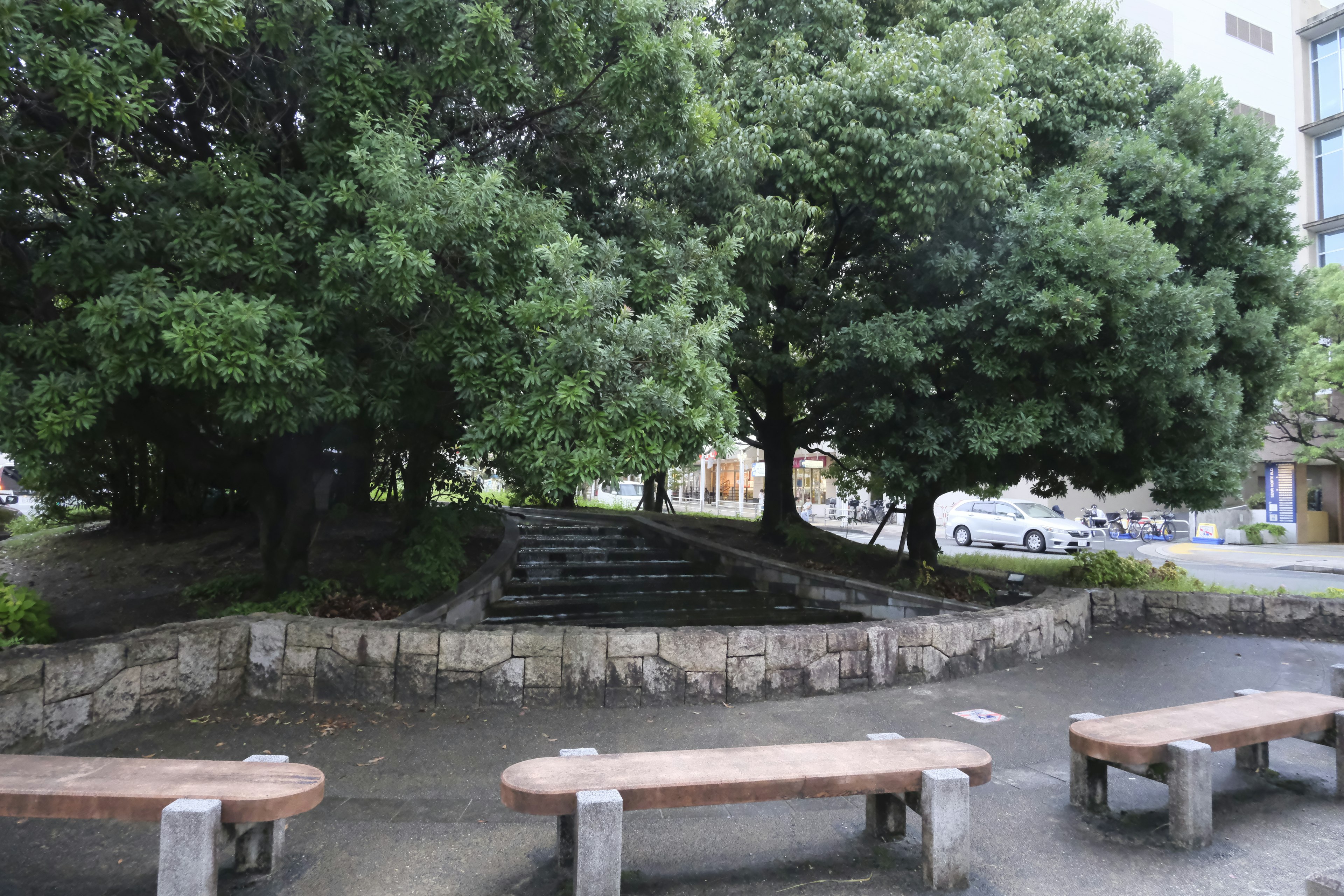 Park scene with benches and large trees