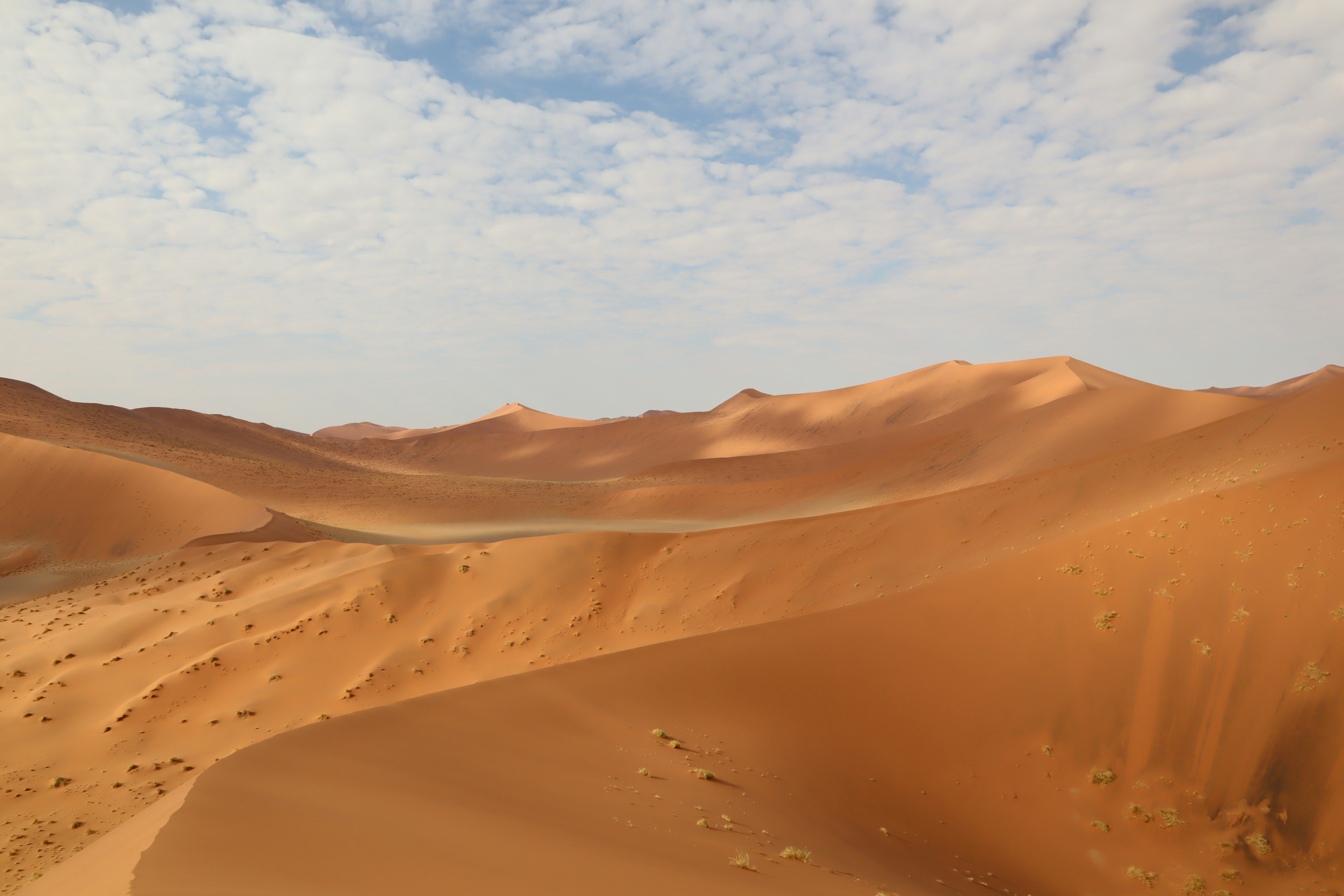 Amplio paisaje desértico con dunas de arena naranja y cielo azul