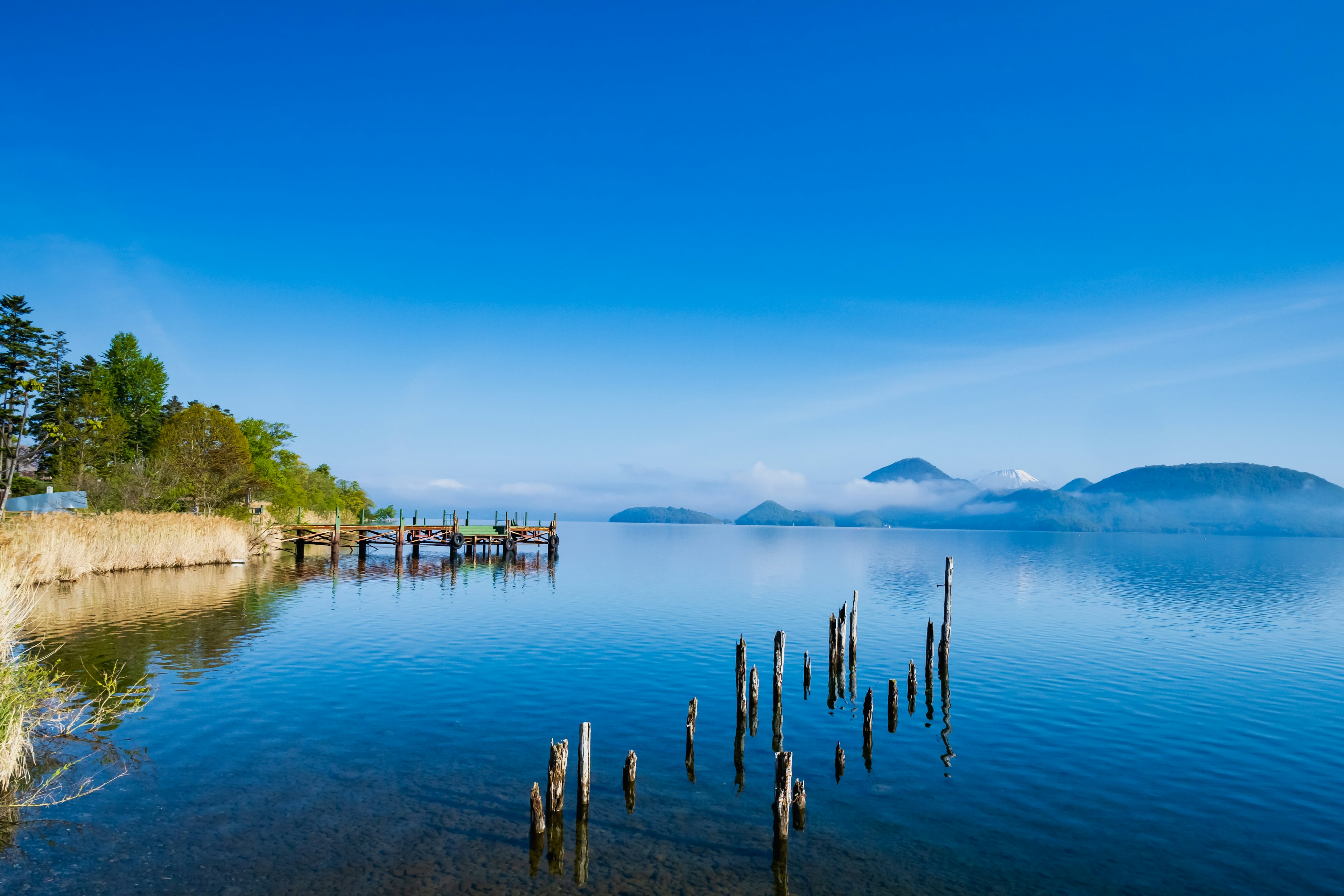 Scenic view of a calm lake under a blue sky with wooden posts and surrounding greenery