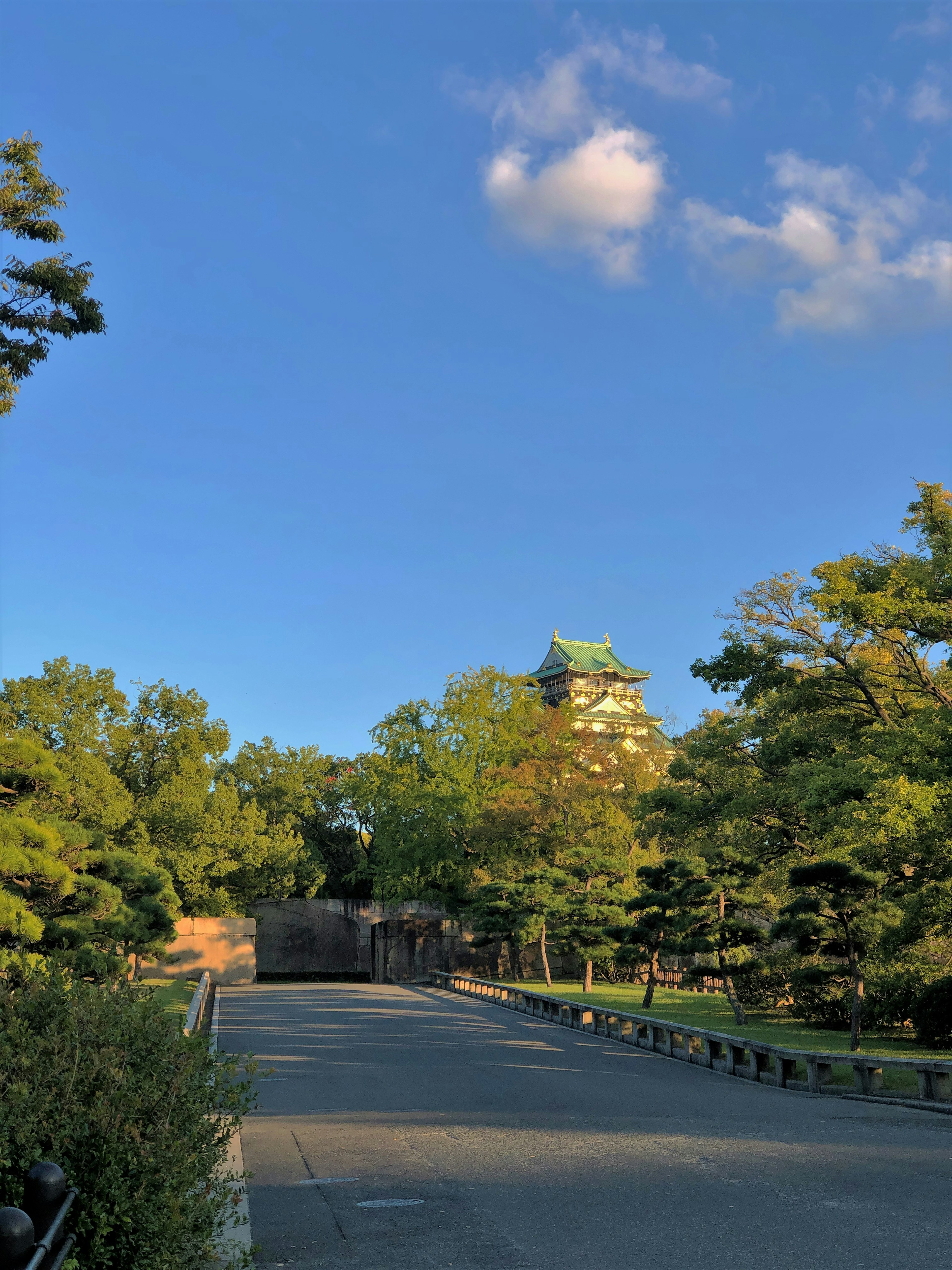 Castle entrance under a blue sky with surrounding trees