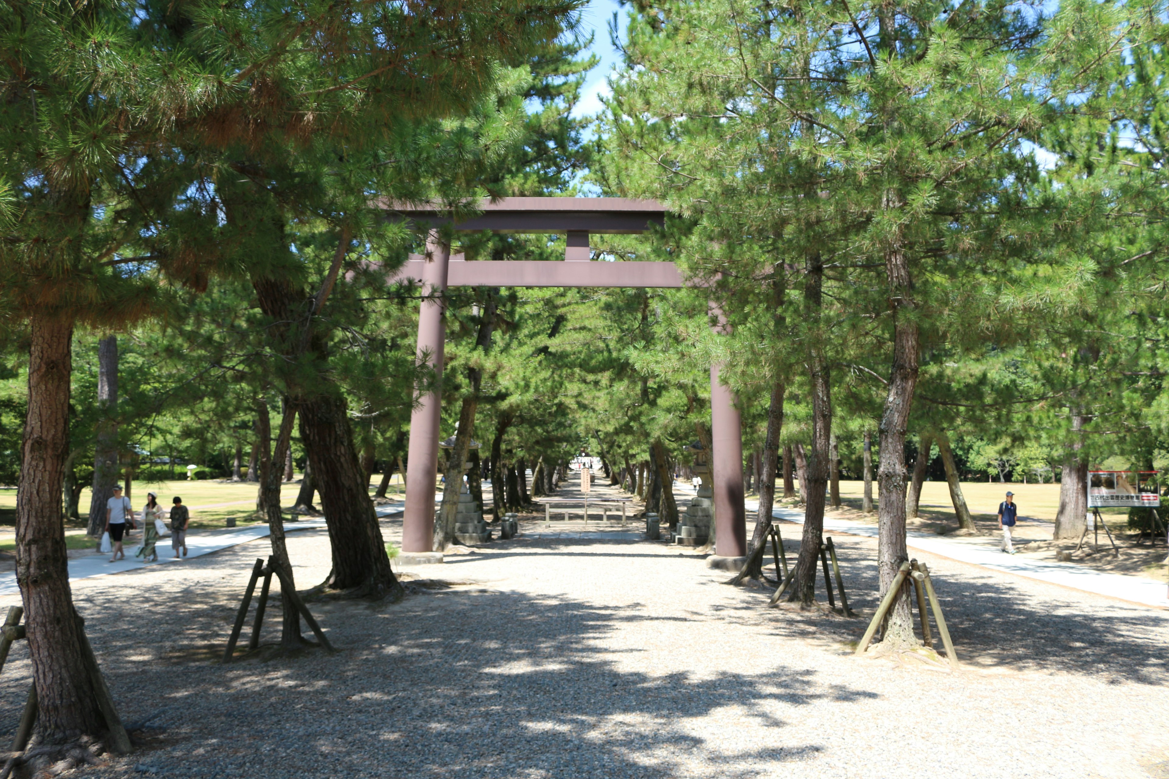 緑豊かな木々に囲まれた鳥居のある散策路