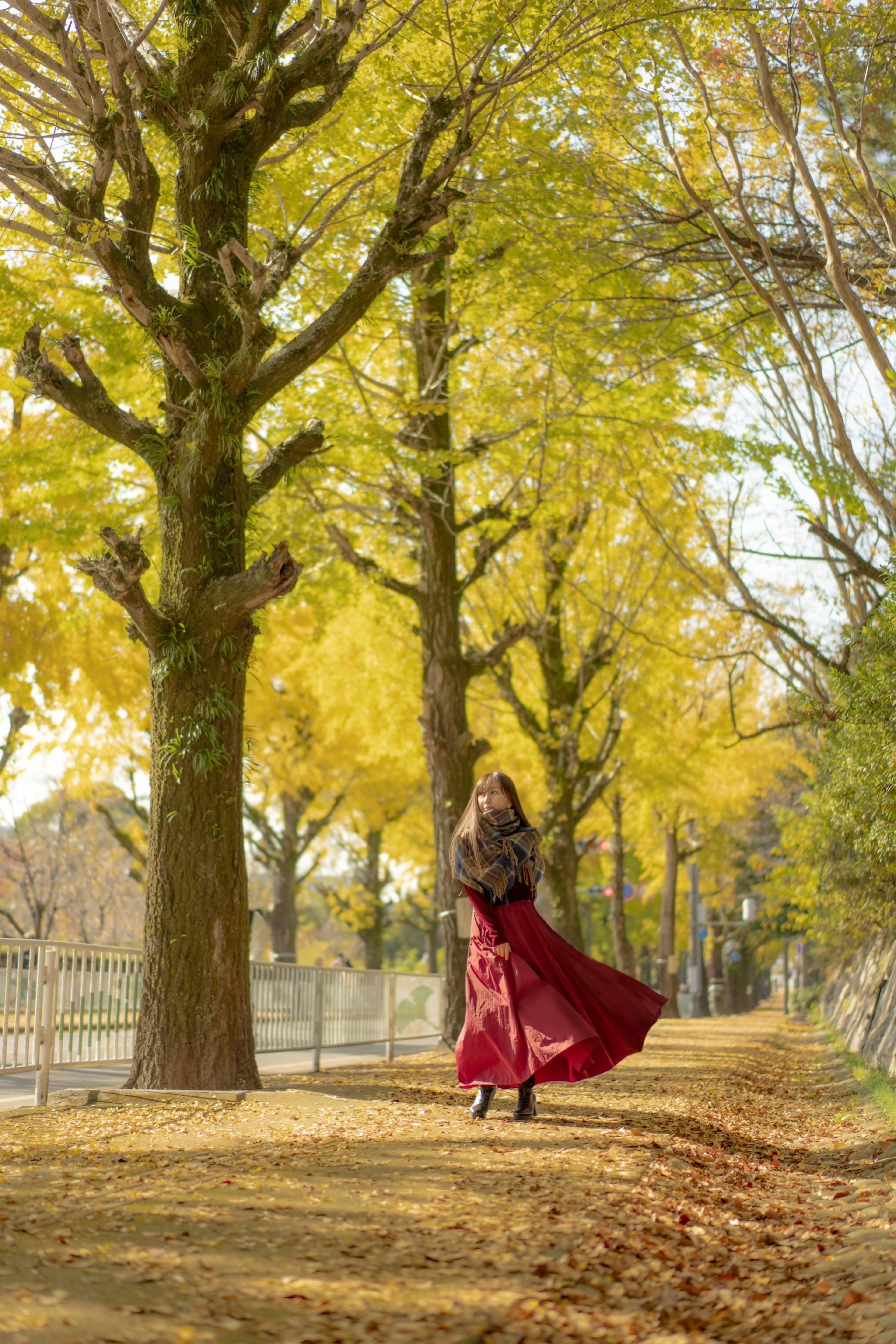 秋の黄色い木々の間を歩く女性の後ろ姿 赤いドレスを着ている