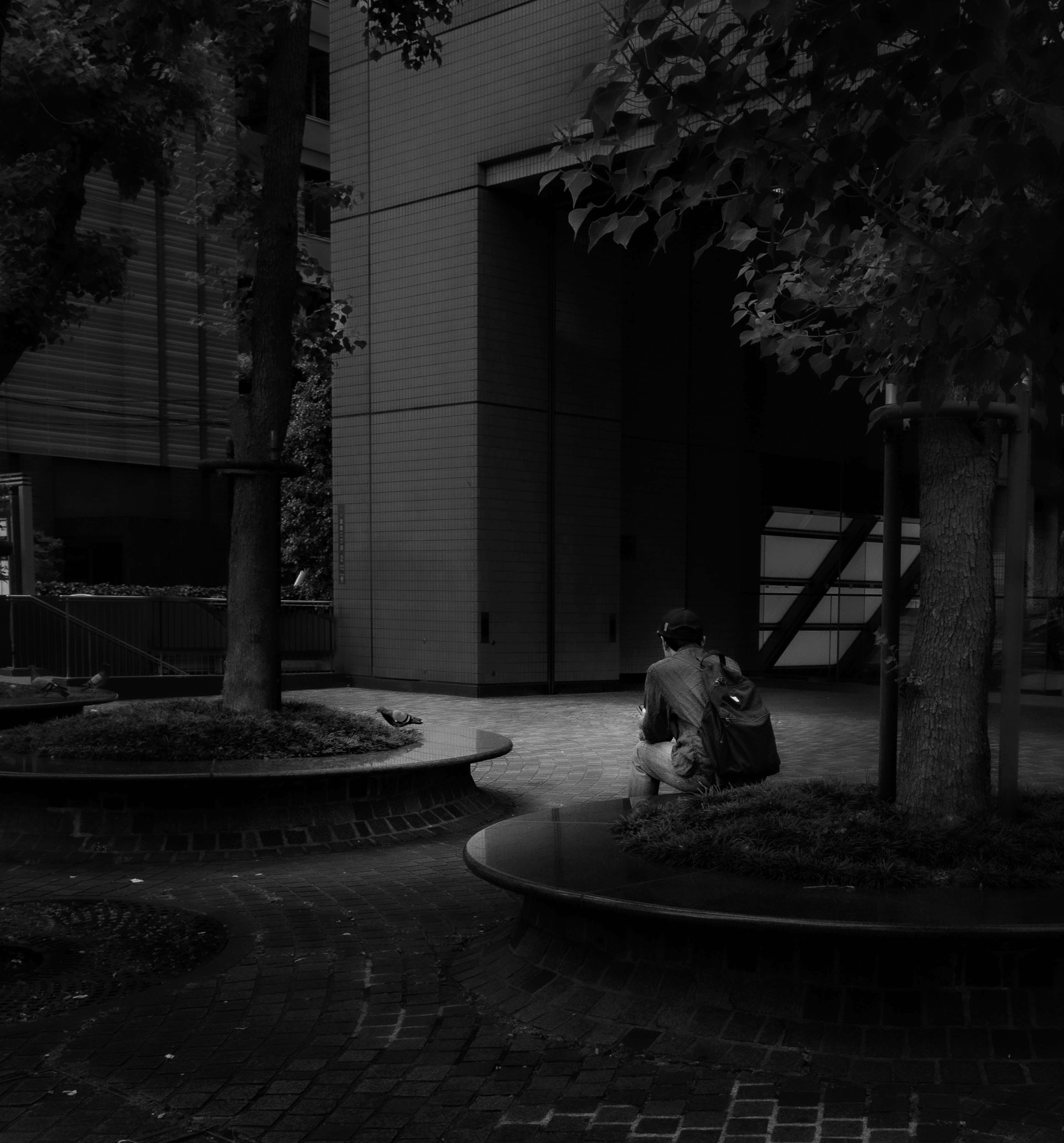 A person sitting in a dark urban setting surrounded by trees