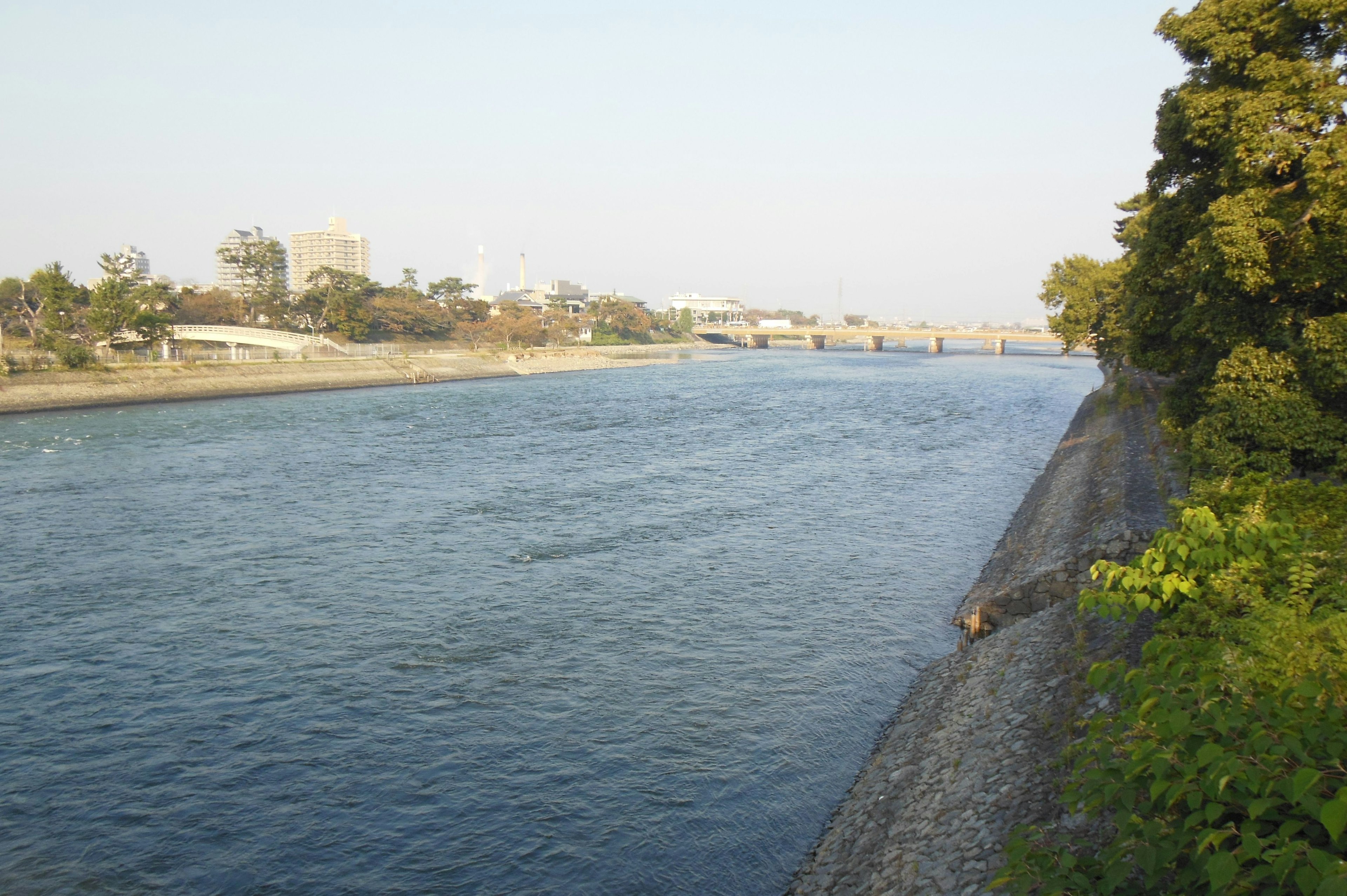 Vue panoramique d'une rivière avec de l'eau qui coule et des arbres verts