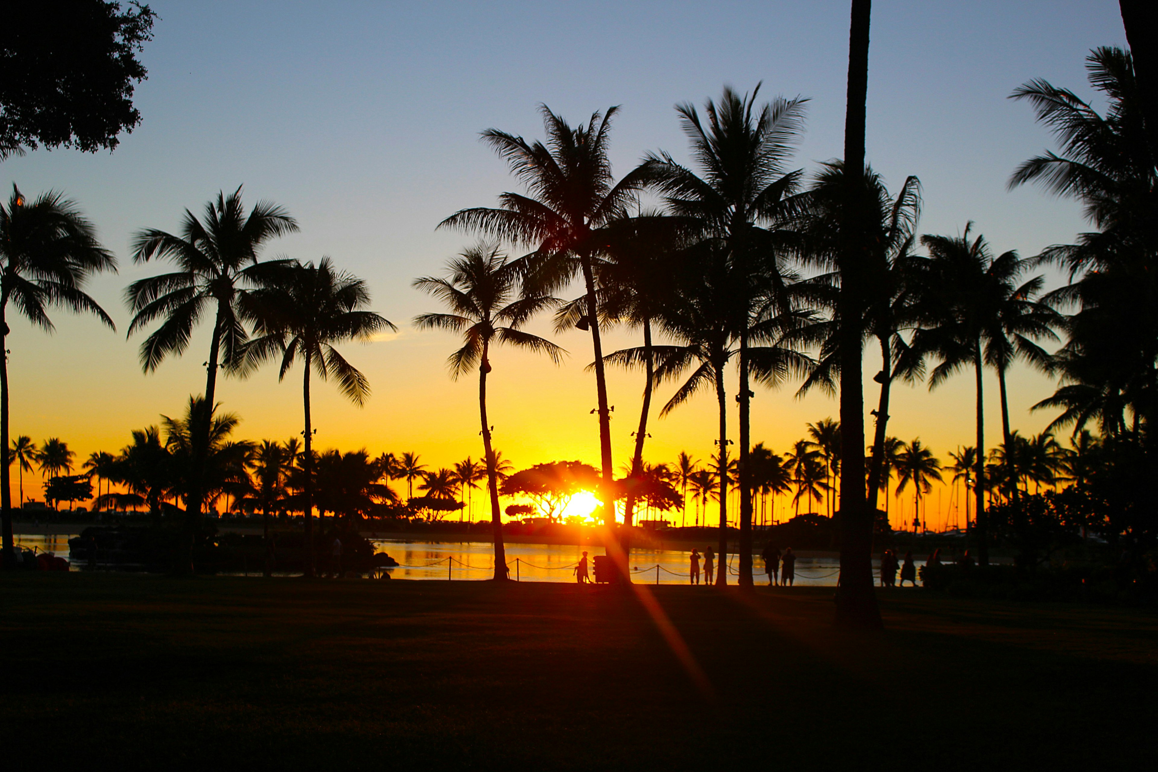 Vista escénica de un atardecer sobre el océano con palmeras en silueta