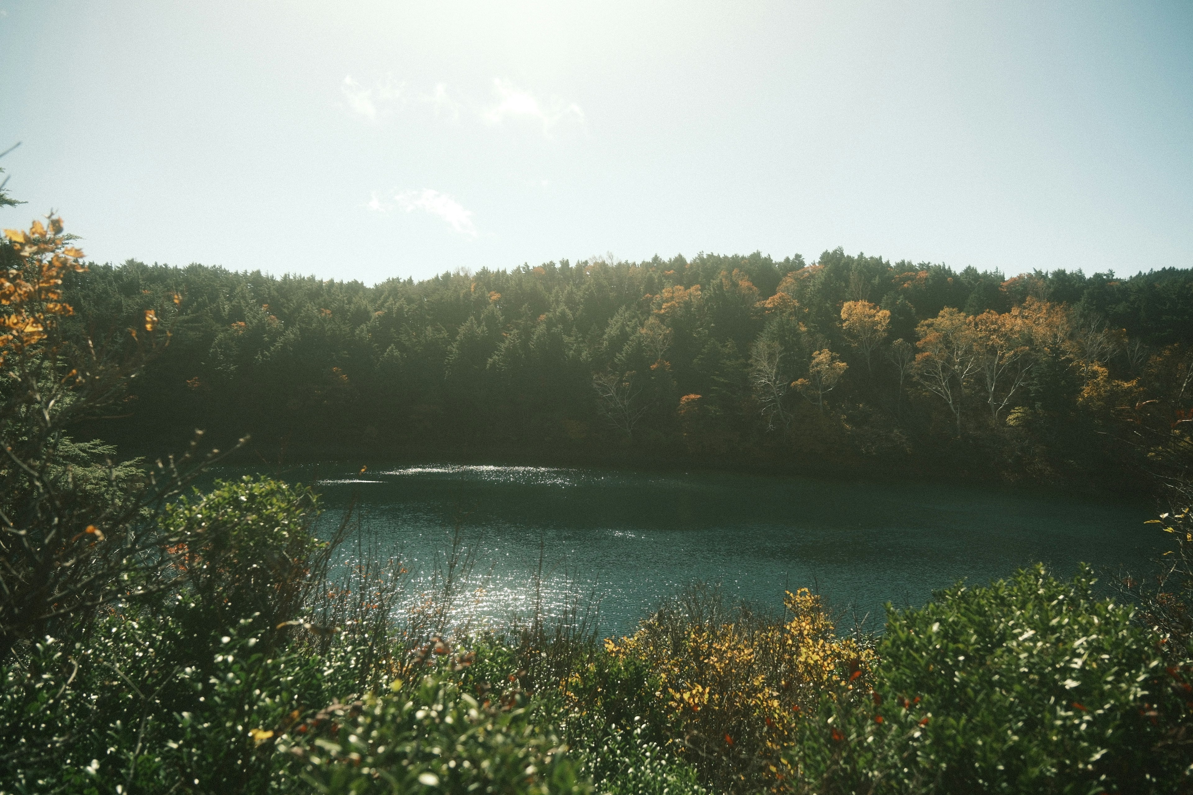 穏やかな湖と秋の木々の美しい風景