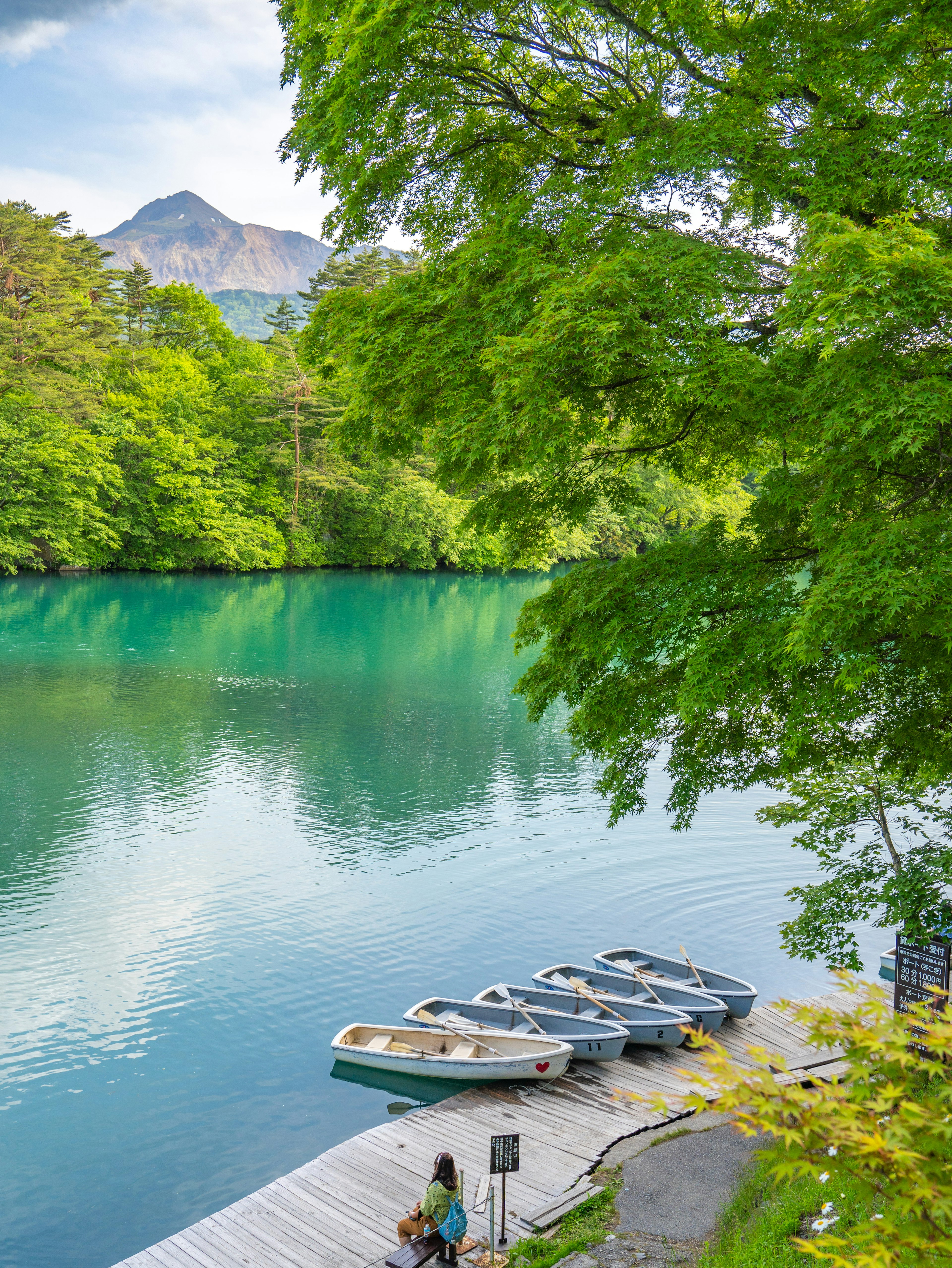 青い湖とボートが並ぶ美しい景色 緑の木々と山々の背景