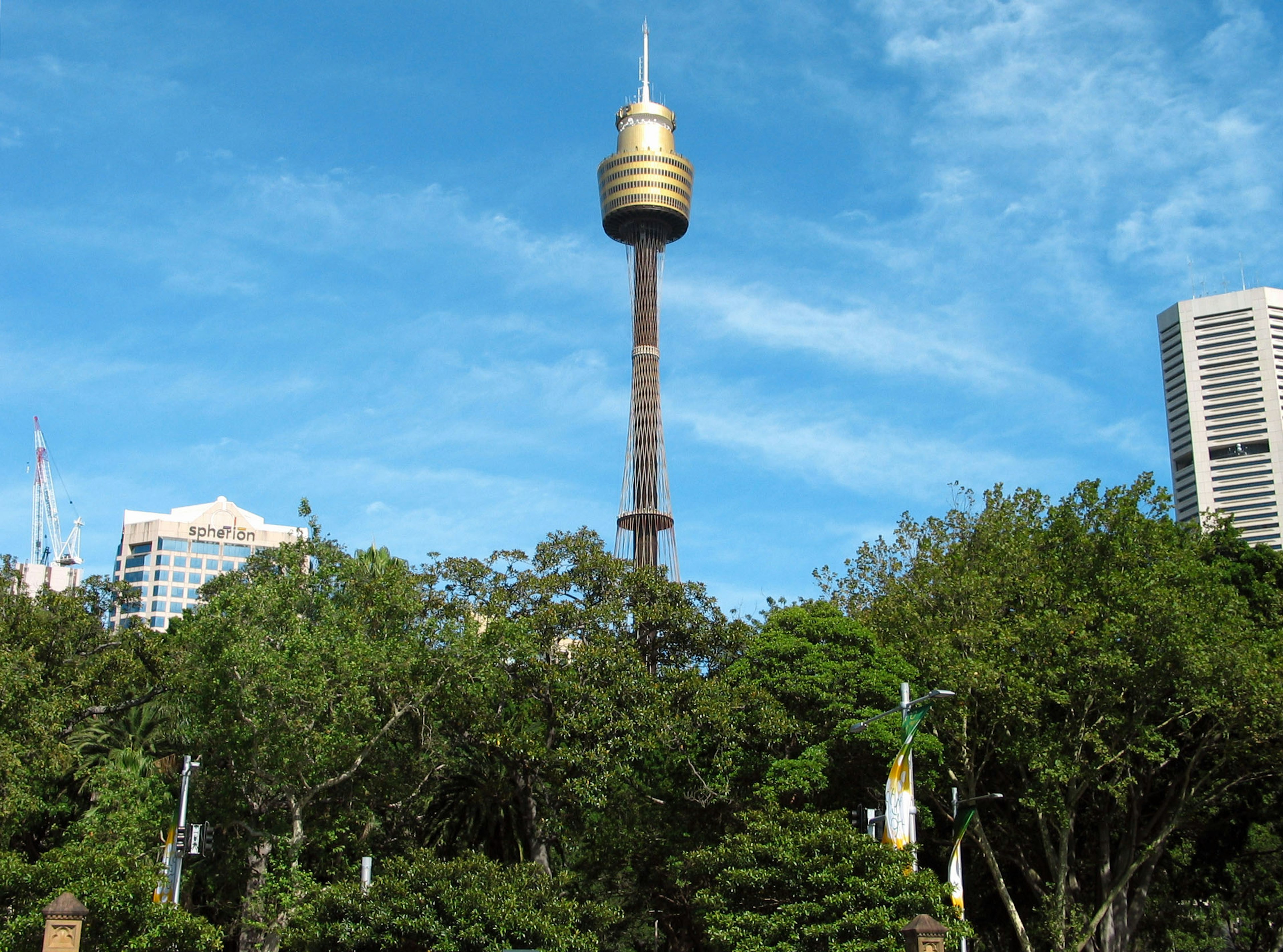 Menara Sydney berdiri tinggi di bawah langit biru dikelilingi oleh pepohonan rimbun