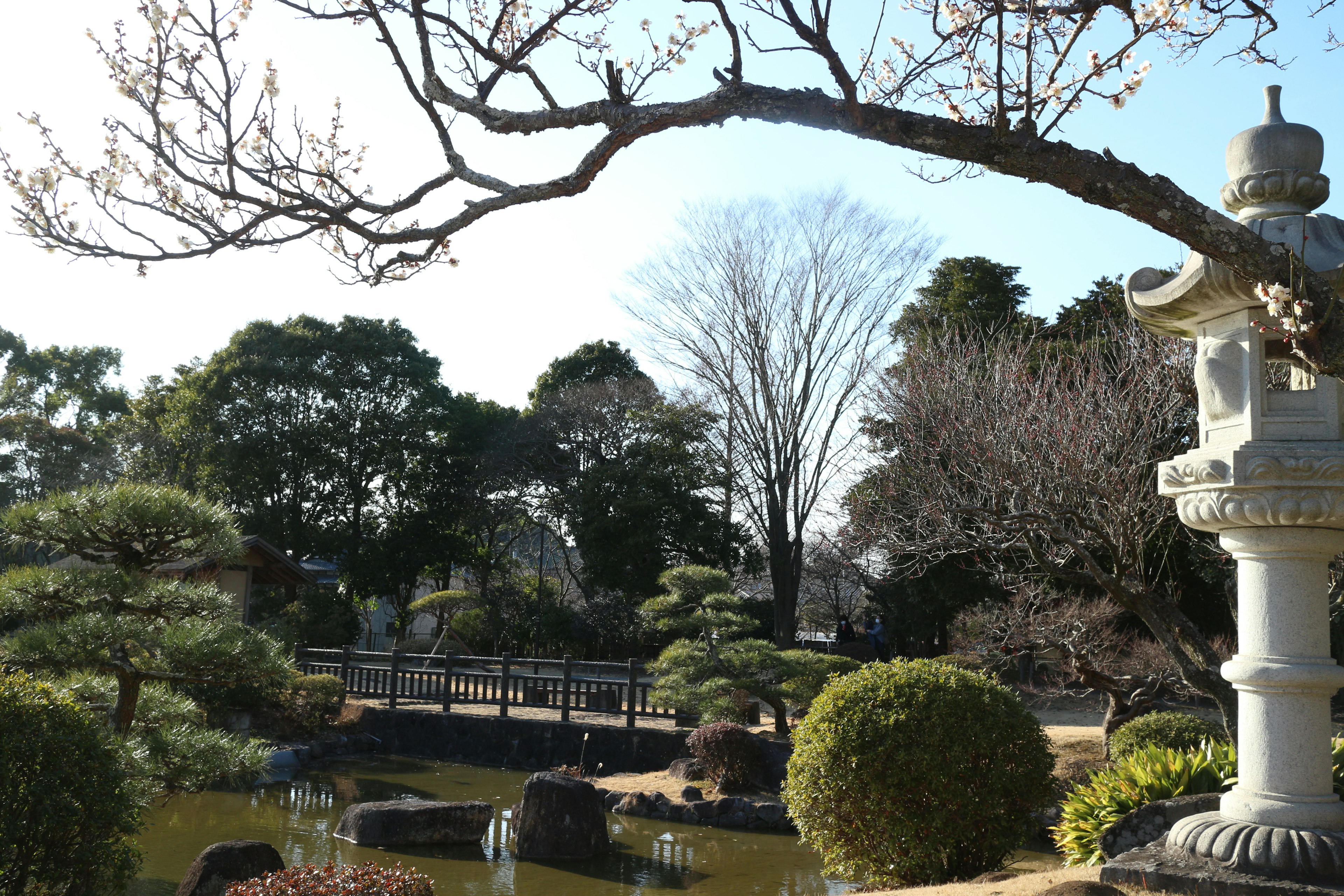 日本庭園的風景，特色石燈籠和池塘