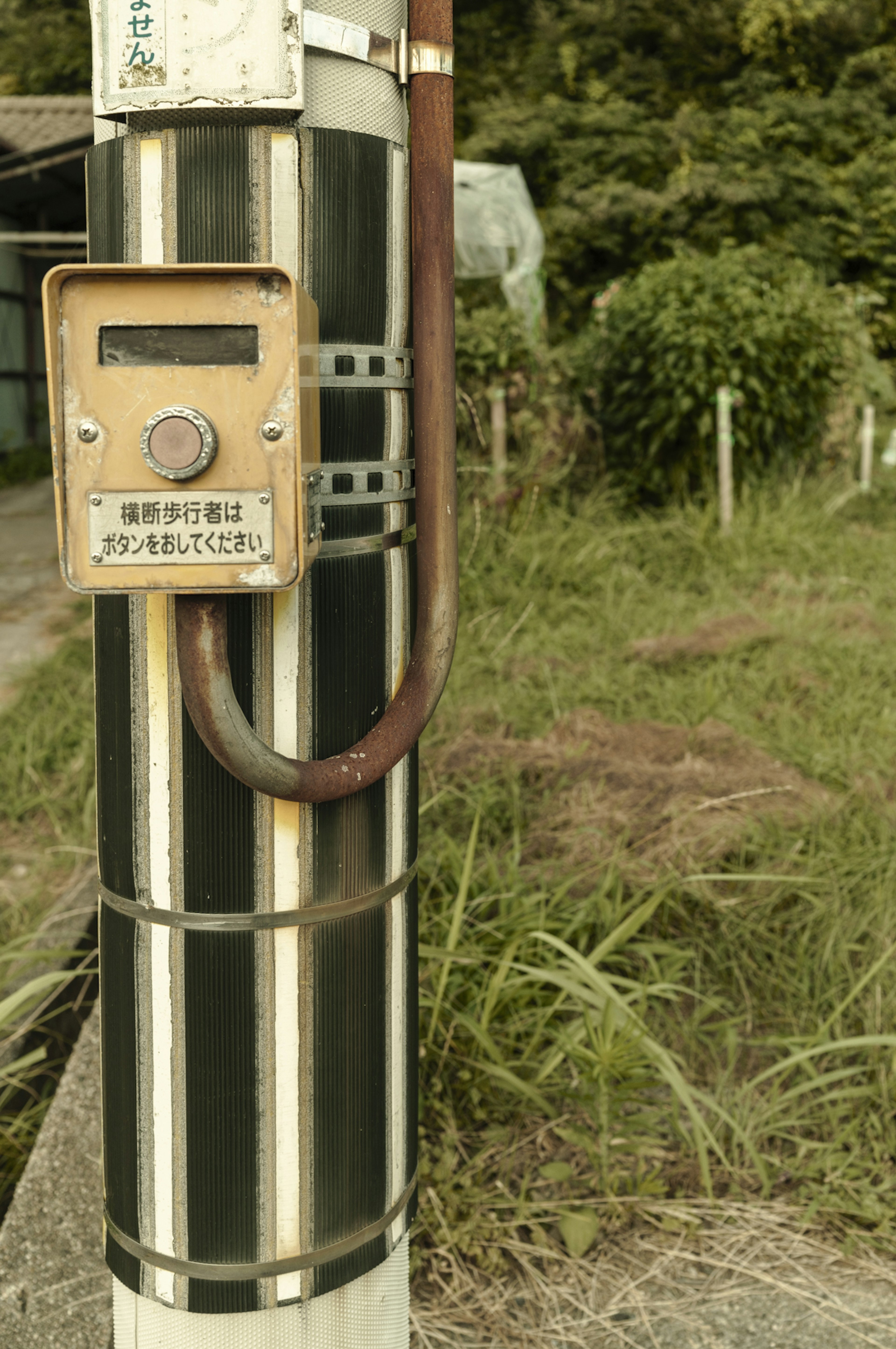 Ancien poteau de signalisation avec une boîte et de l'herbe environnante