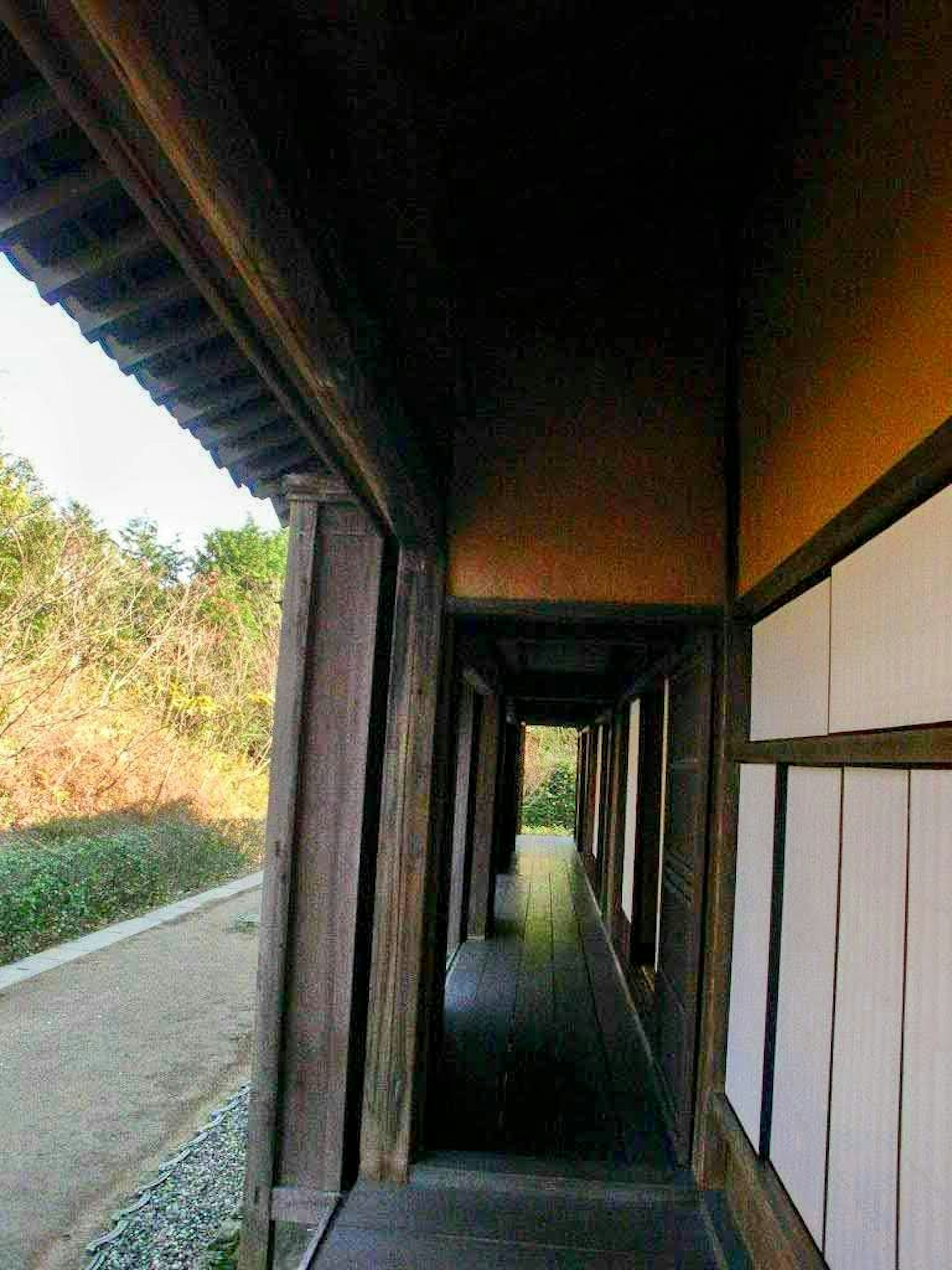 Corridoio in legno con un paesaggio naturale sereno