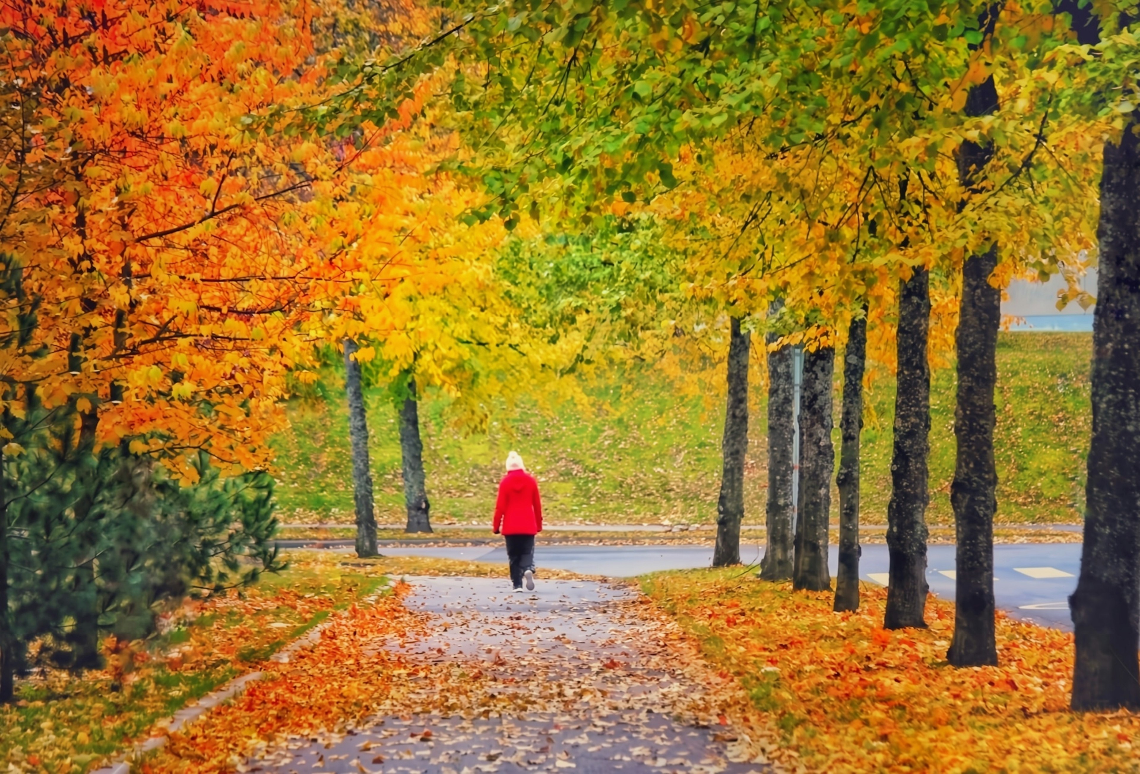 Une personne en manteau rouge marchant le long d'un chemin bordé de feuilles d'automne