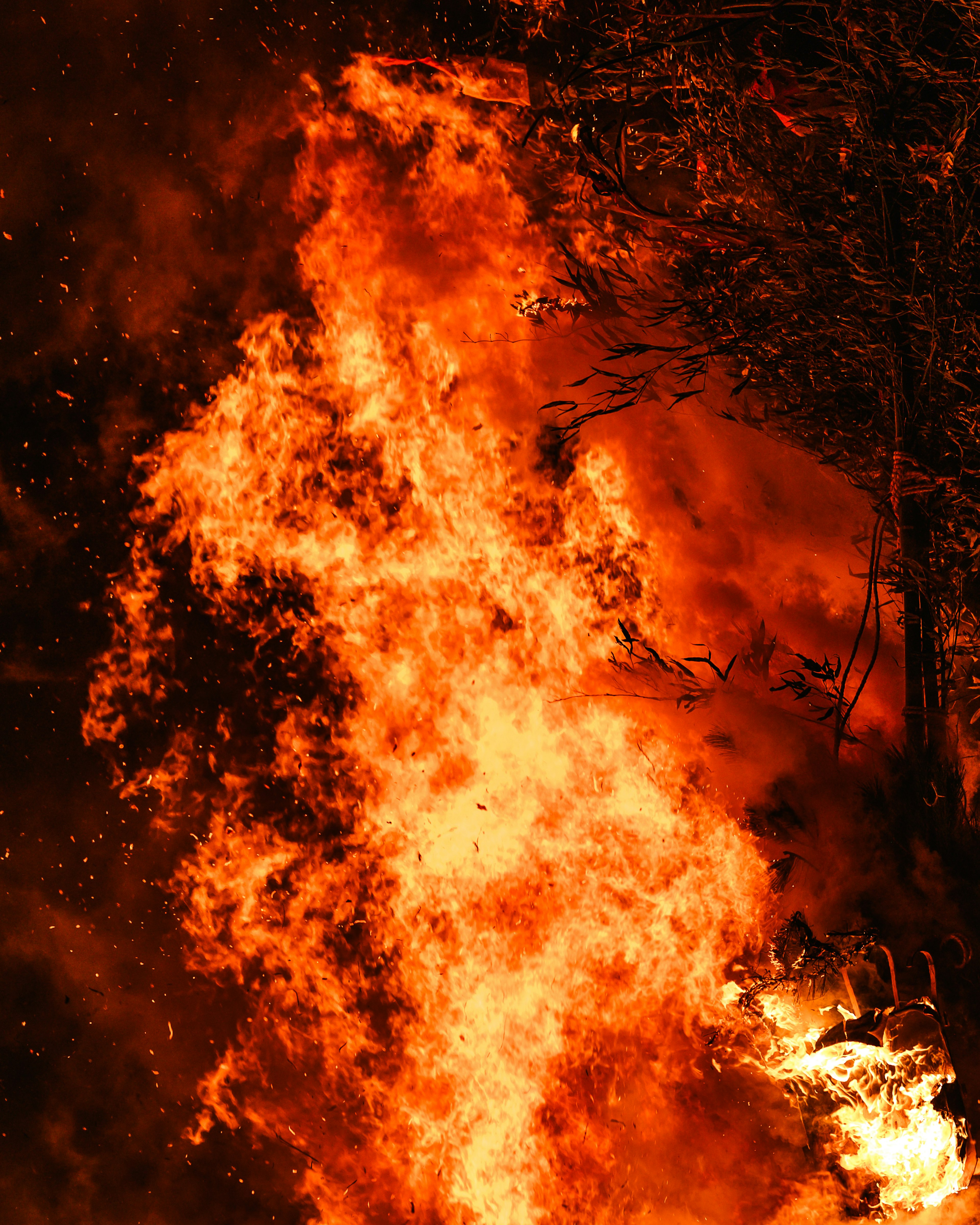 Flammes engloutissant des arbres avec des couleurs orange et rouge intenses