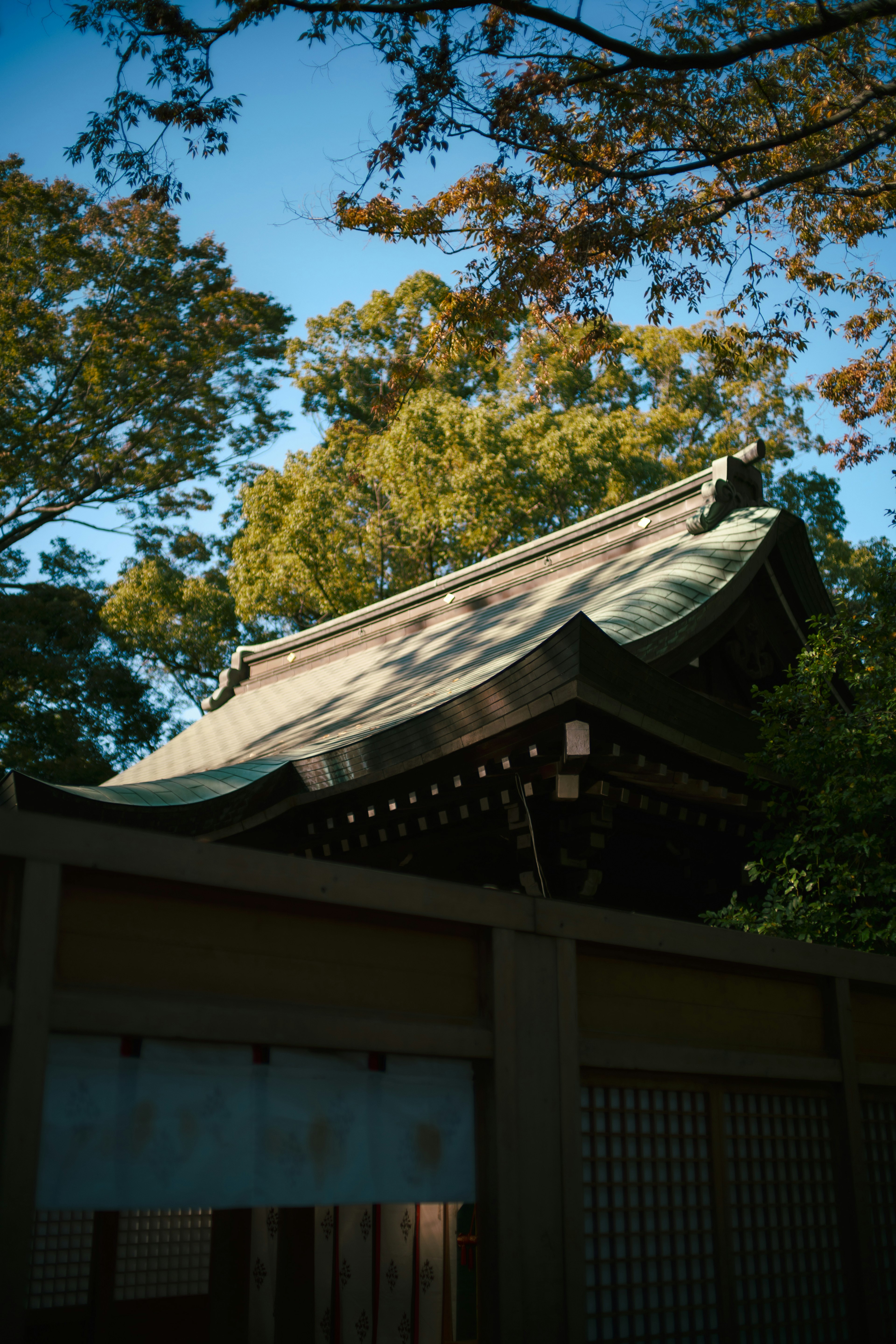 Beautiful design of a shrine roof surrounded by trees