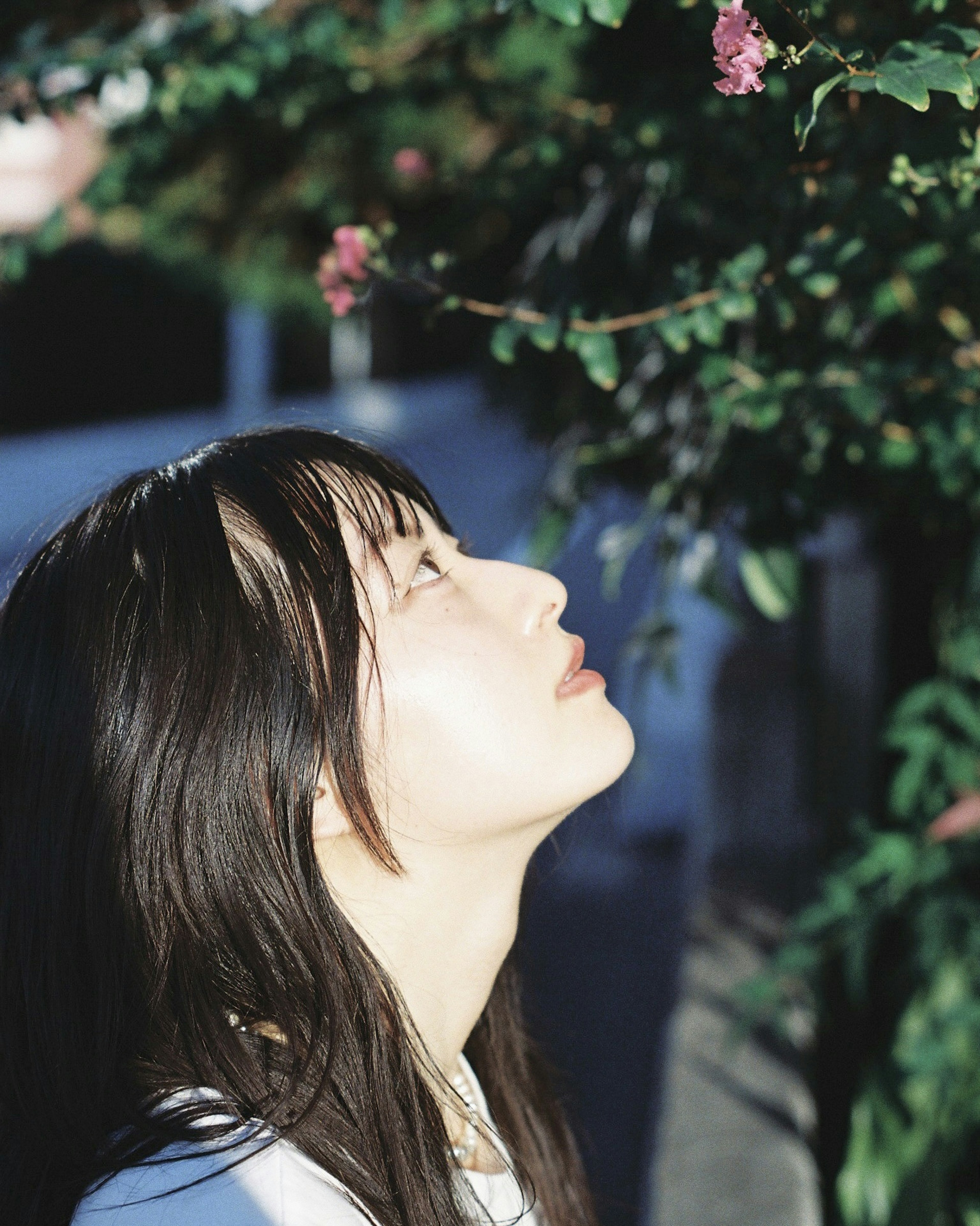 Woman gazing up at flowers in sunlight