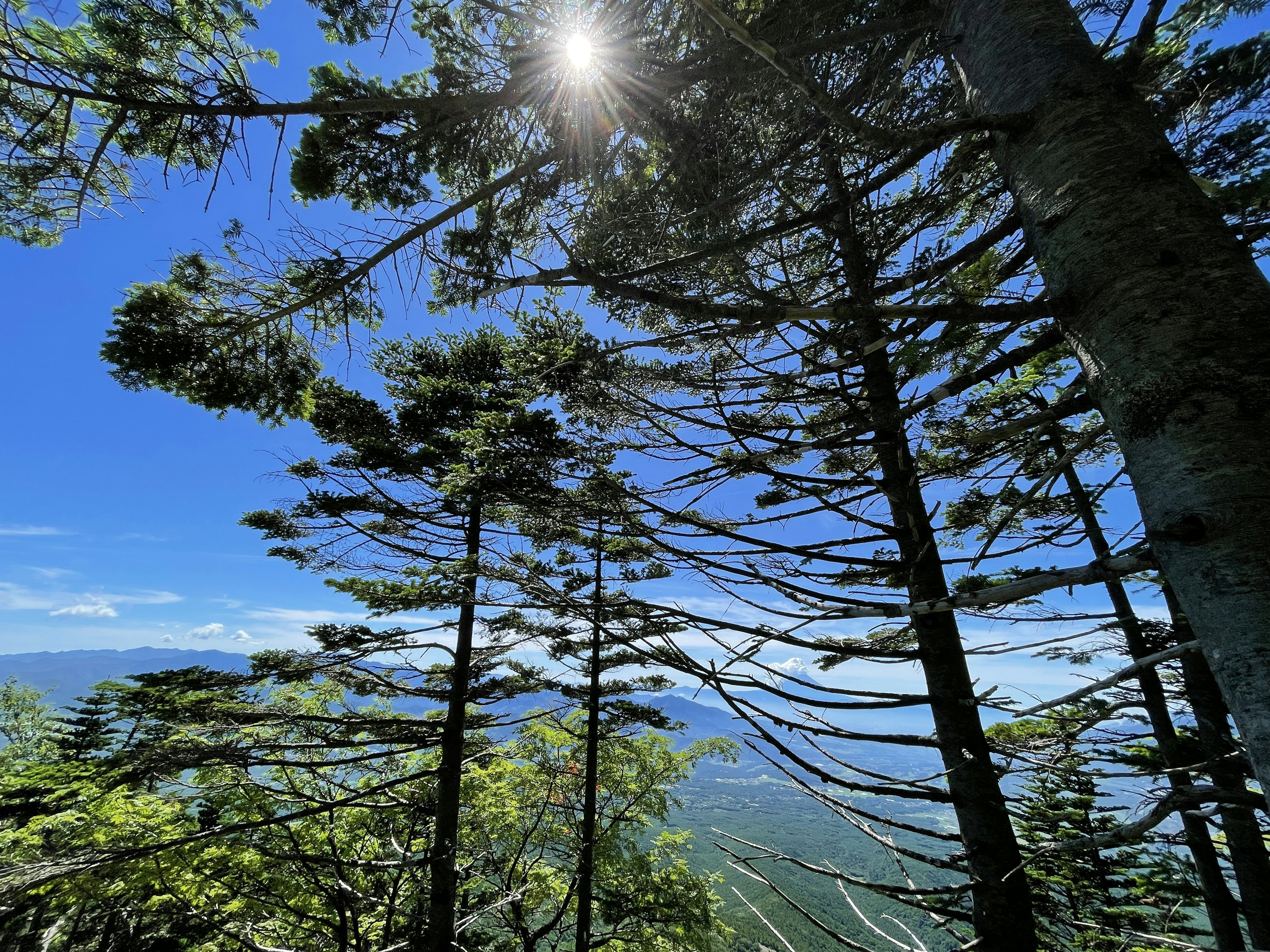 Mountain view with sunlight filtering through trees and blue sky