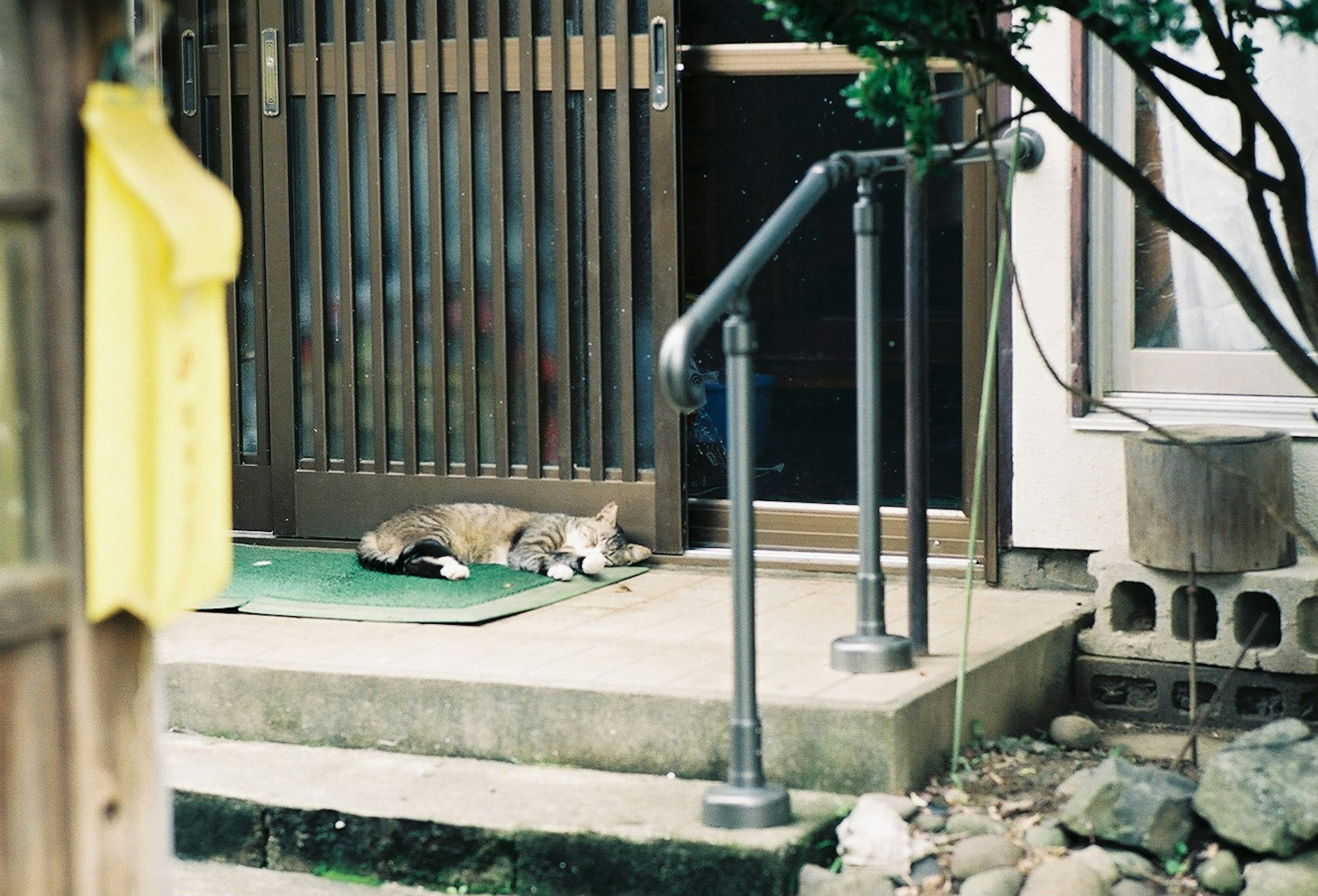 A peaceful scene with a cat lying in front of a door and a handrail