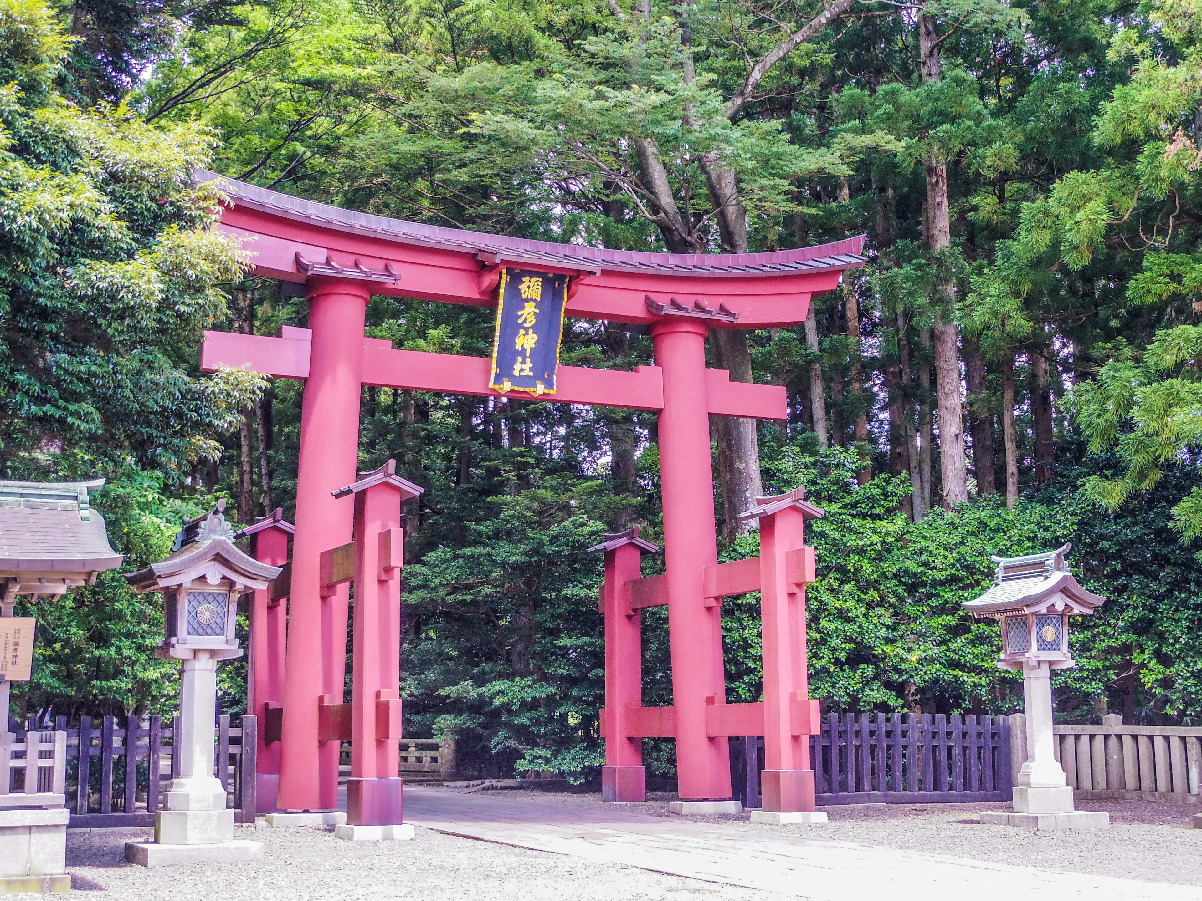 Pintu torii merah dikelilingi oleh pepohonan hijau subur