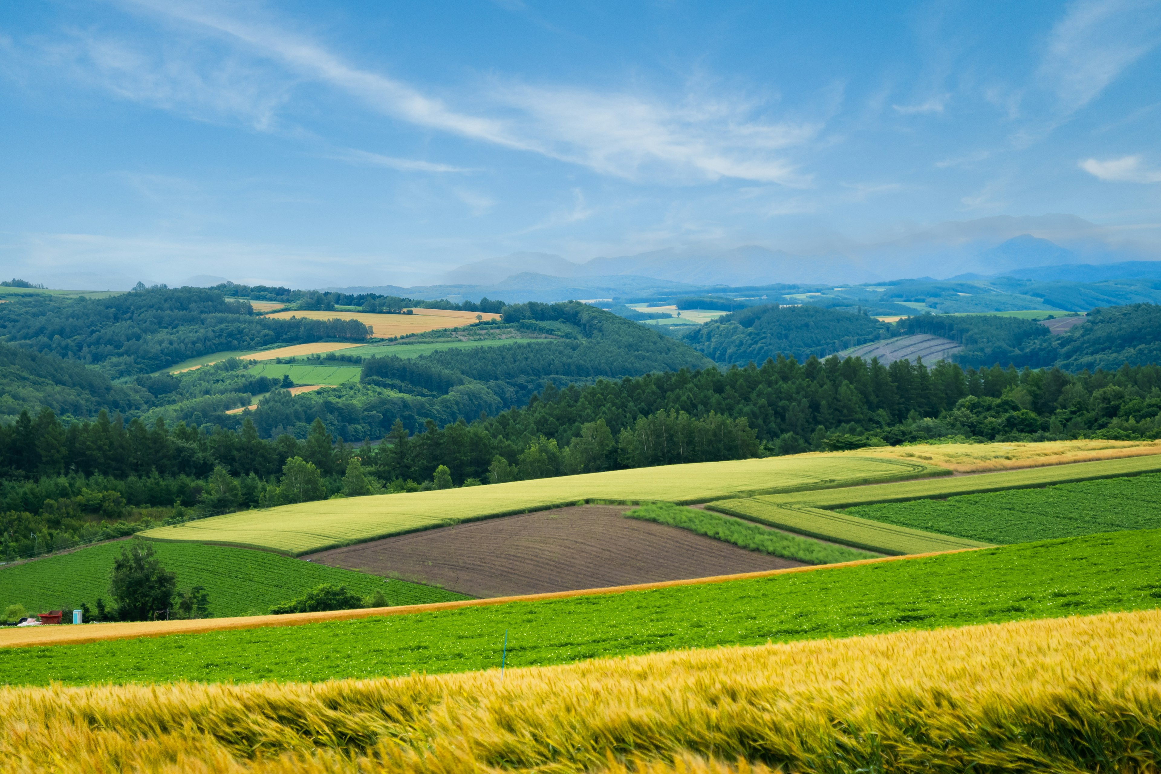 Üppige Landschaft mit blauem Himmel und landwirtschaftlichen Feldern